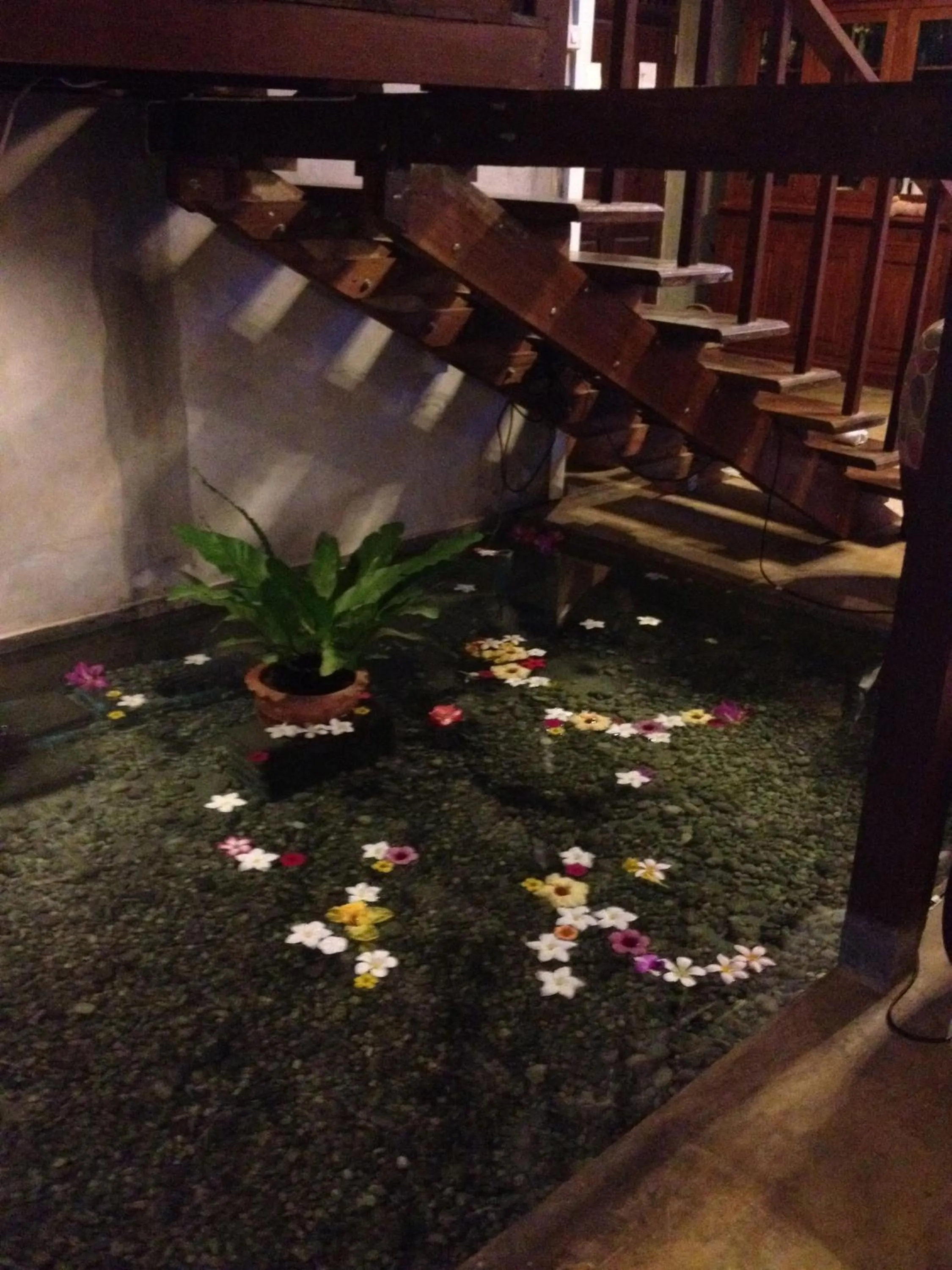 Jardin De Mangue Pakchong