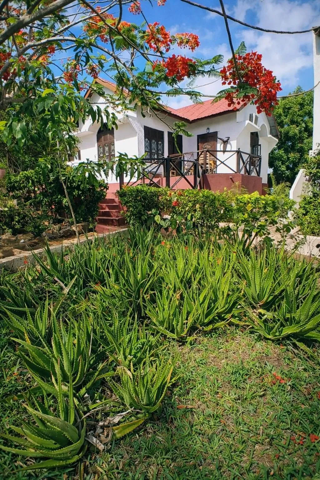 Property building in Majani Breeze Zanzibar