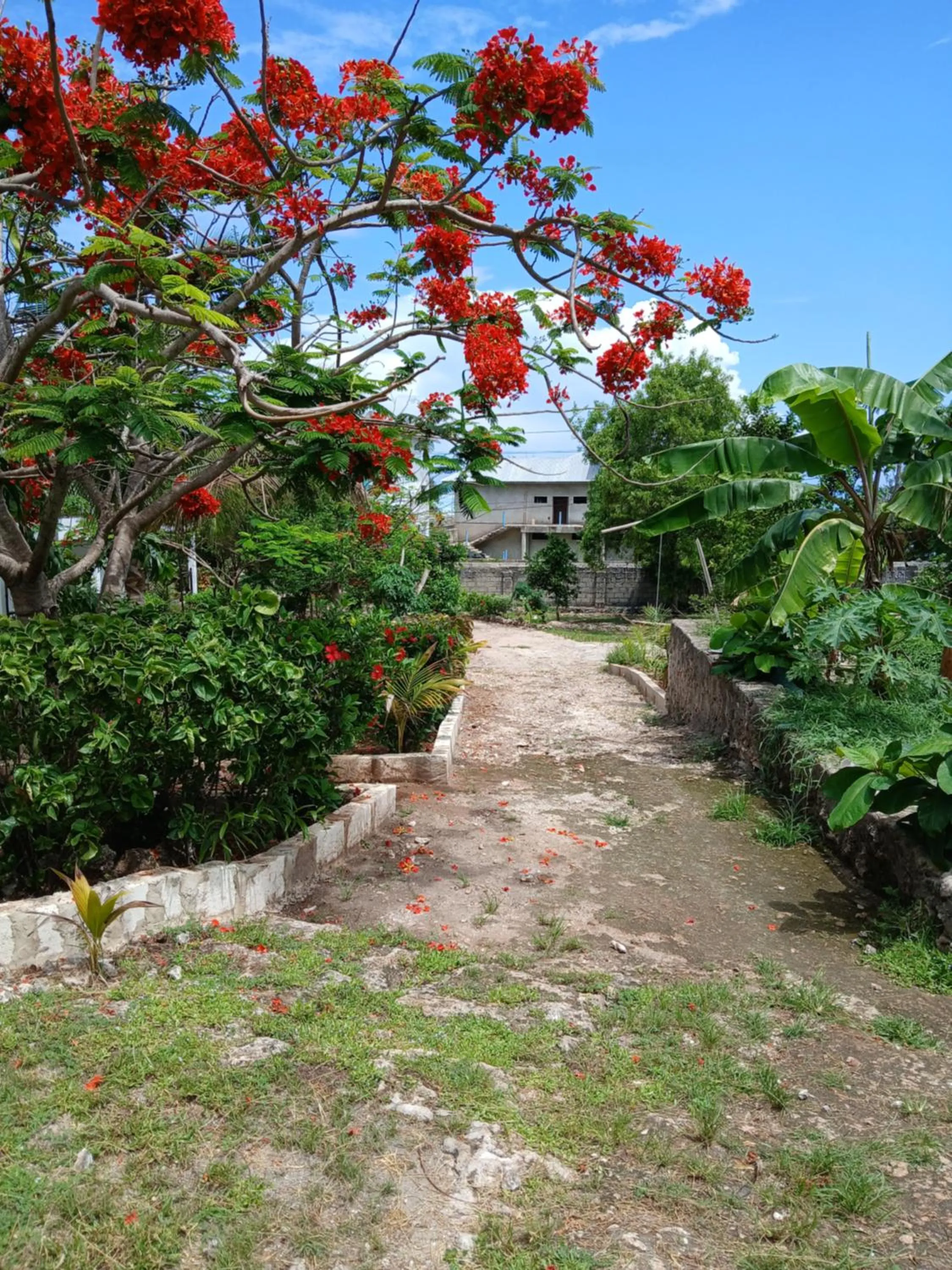 Garden in Majani Breeze