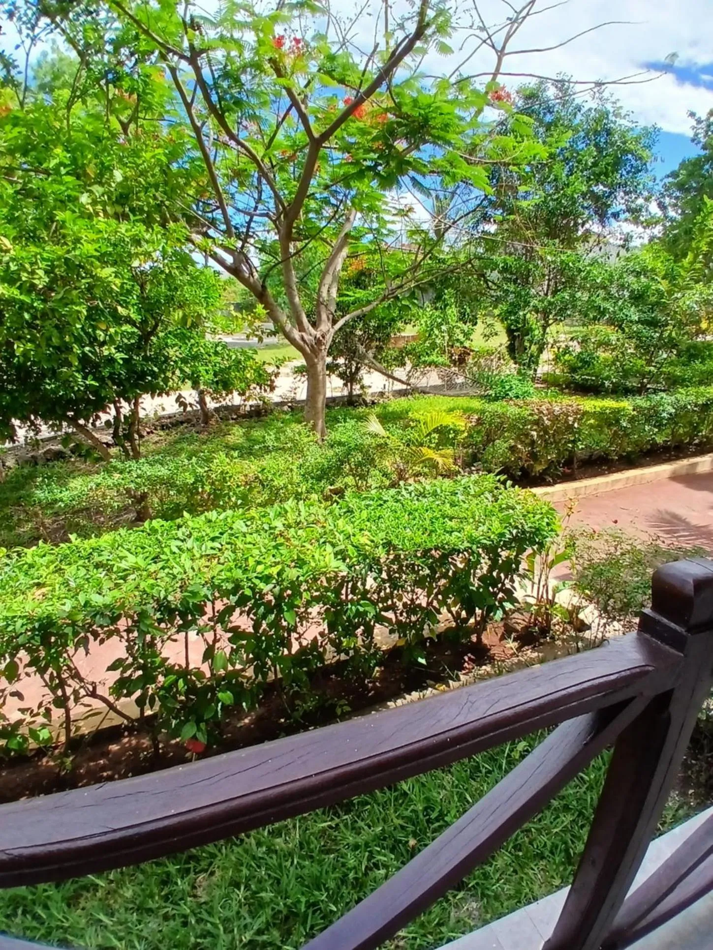 Garden in Majani Breeze