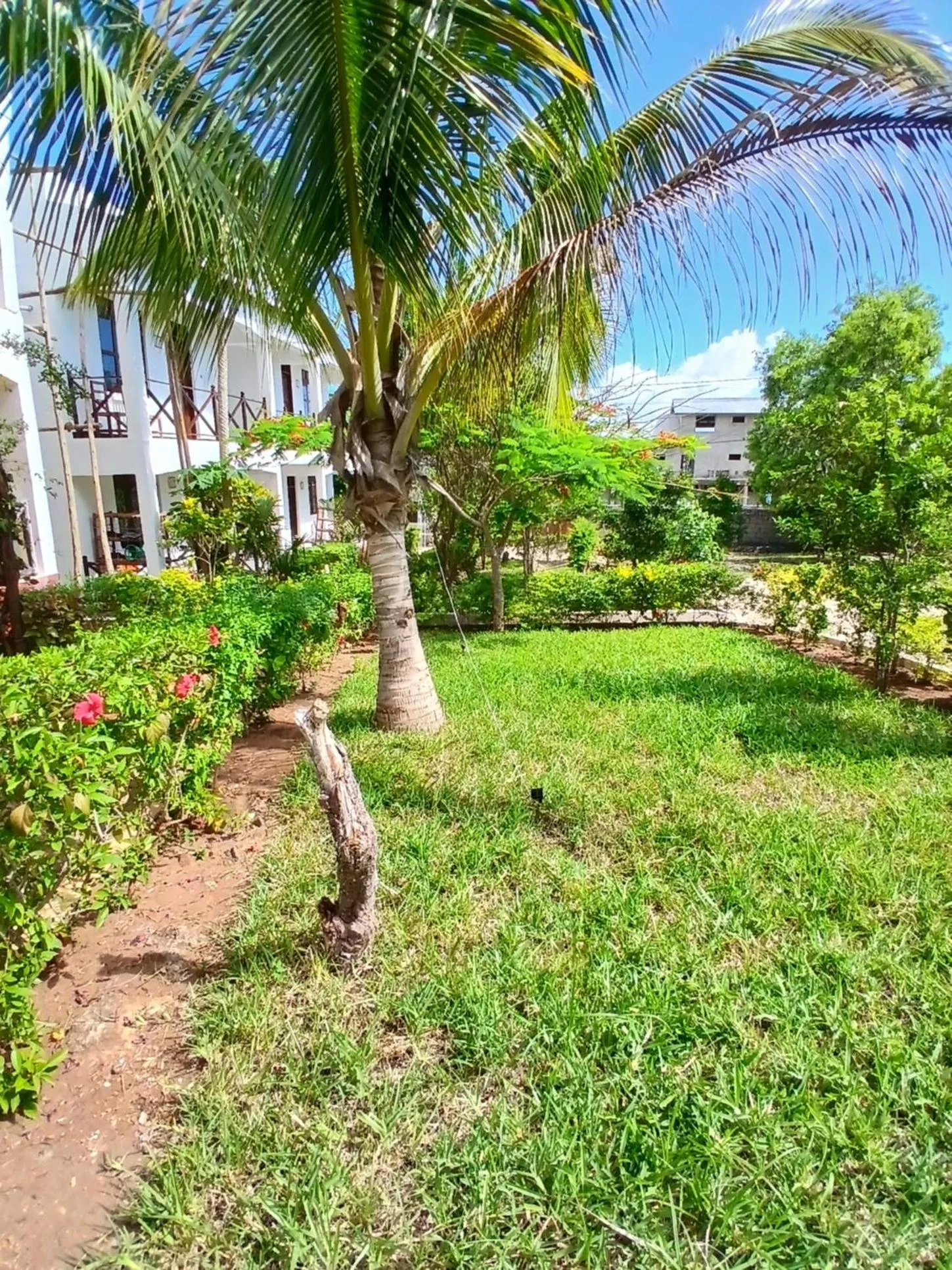 Garden in Majani Breeze