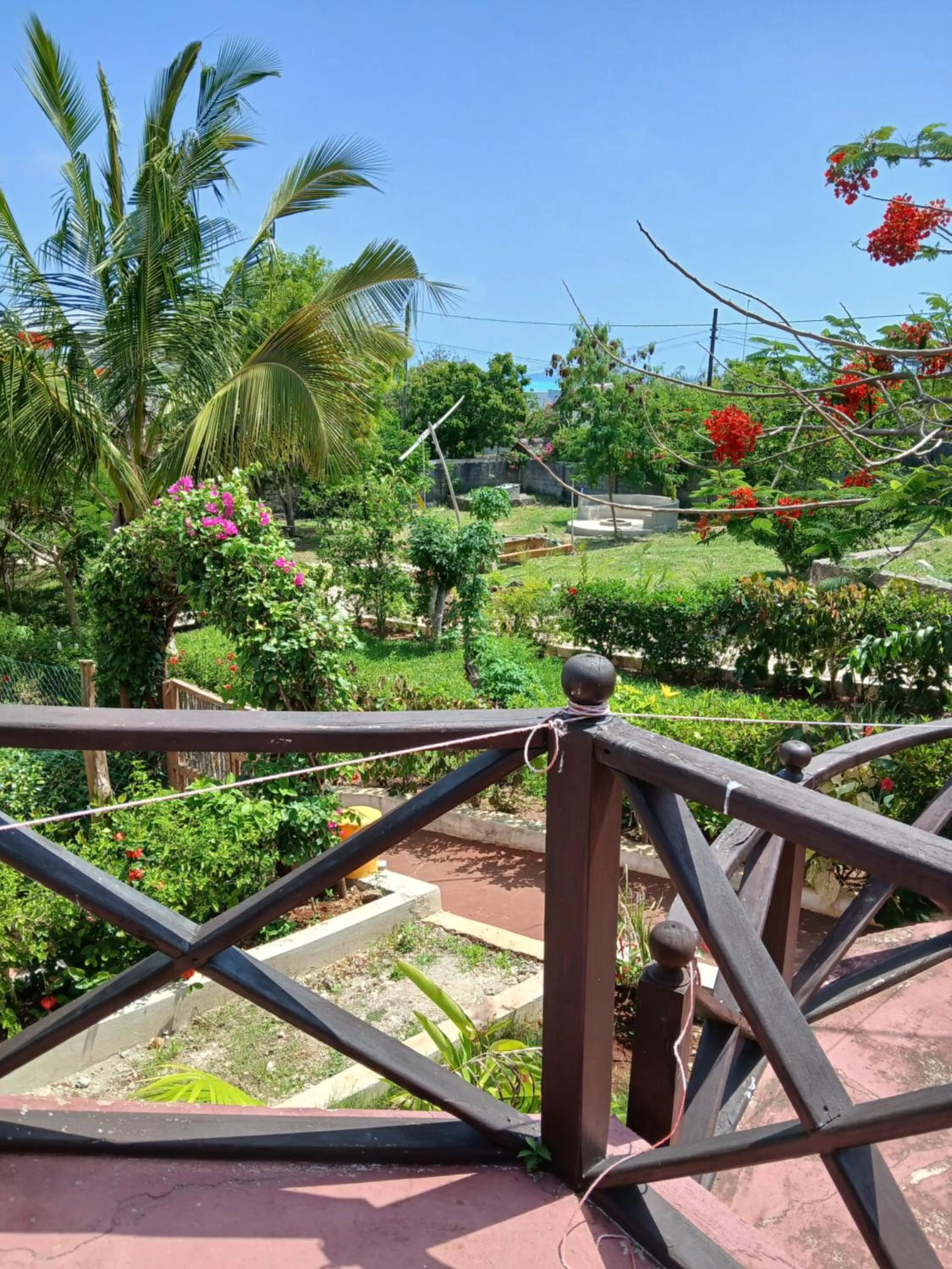 Garden in Majani Breeze