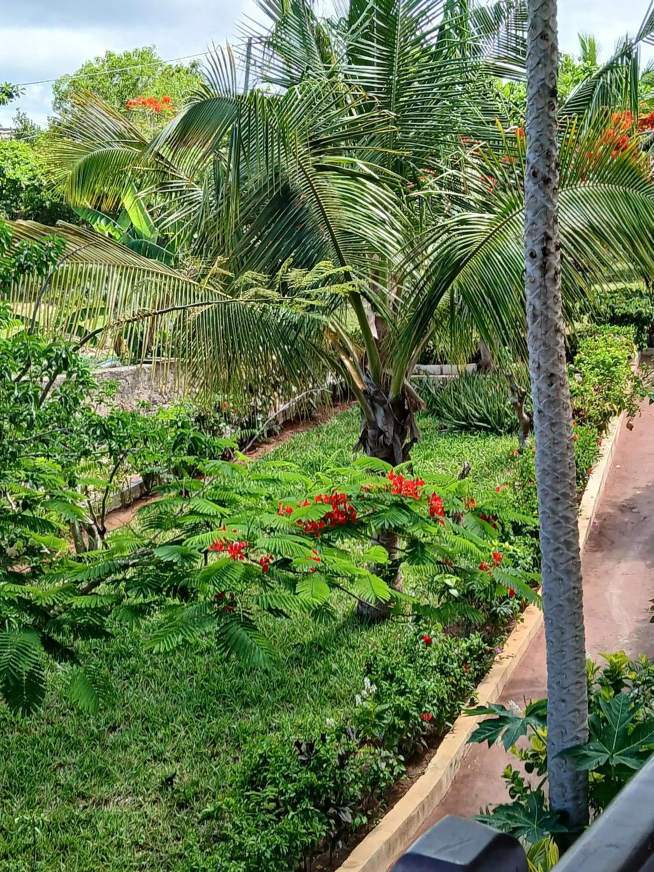 Garden in Majani Breeze
