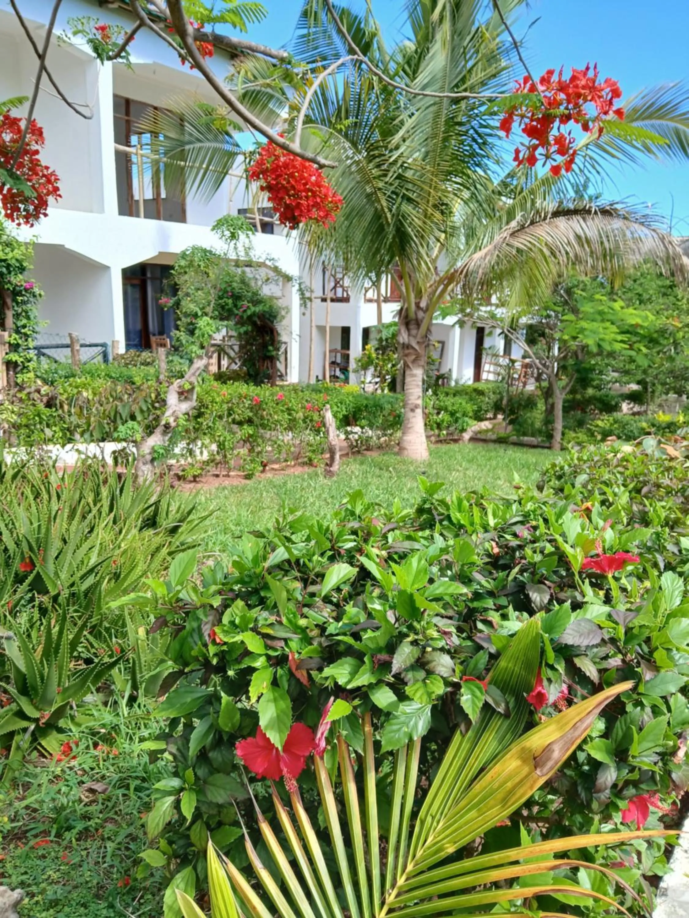 Property building in Majani Breeze