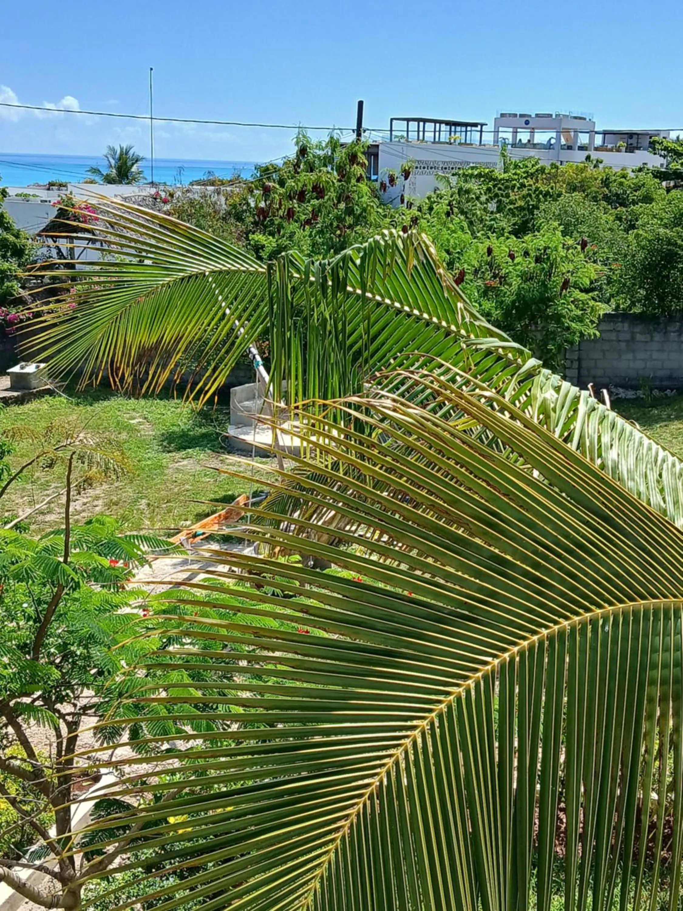 Garden in Majani Breeze