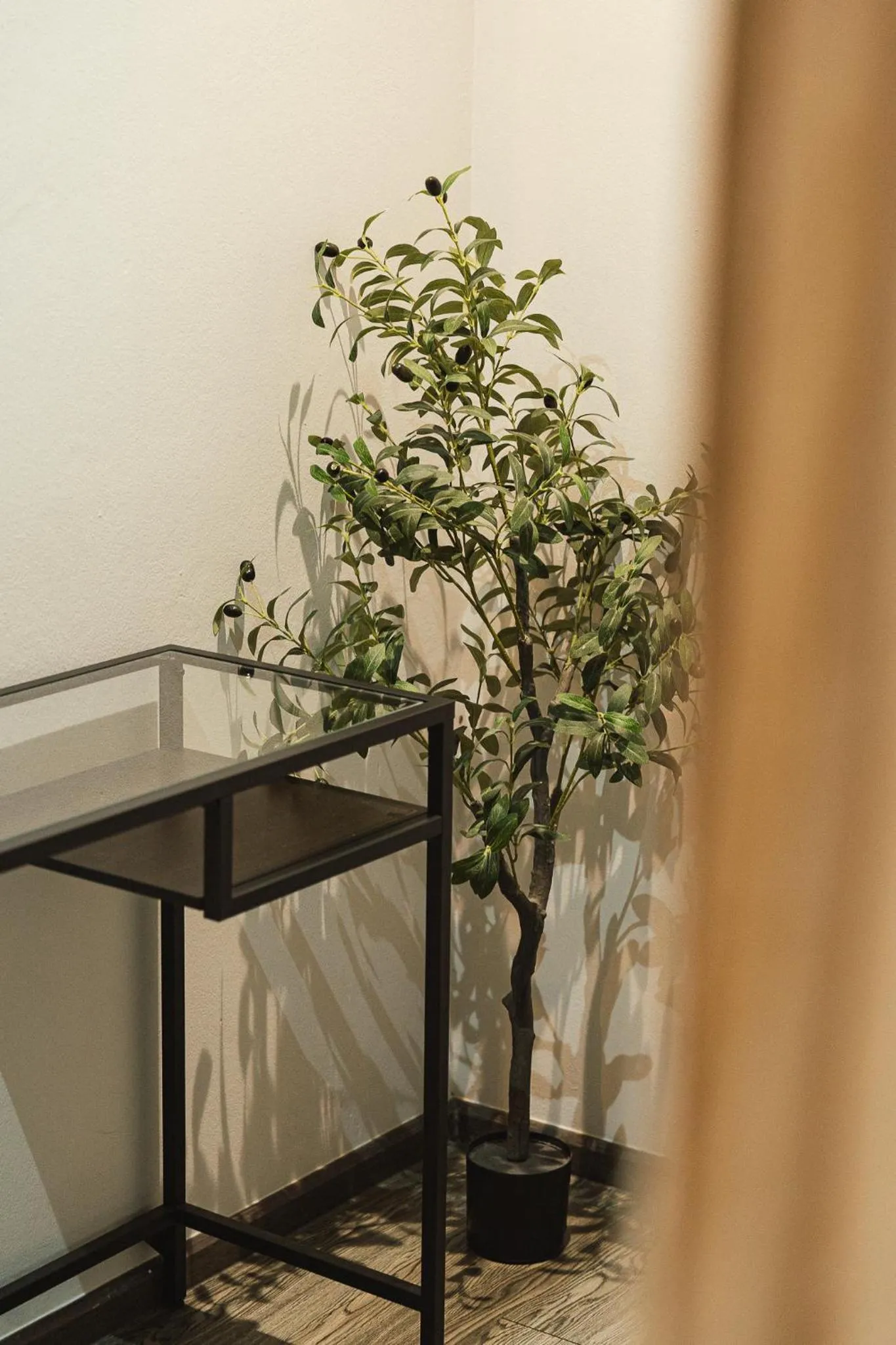 Photo of the whole room in Tim Mansion