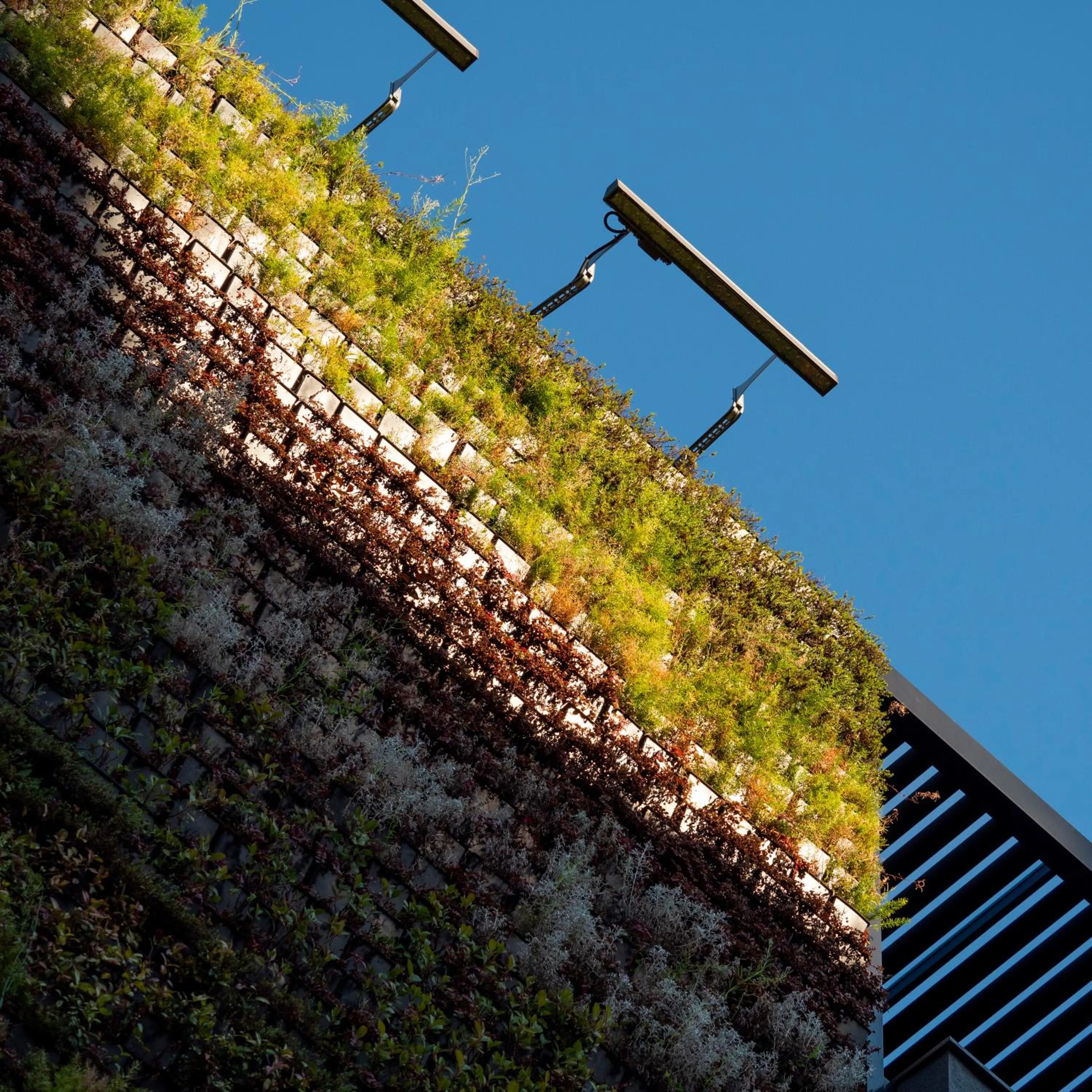 Facade/entrance in Moncafe Boutique Hotel & SPA Tirana