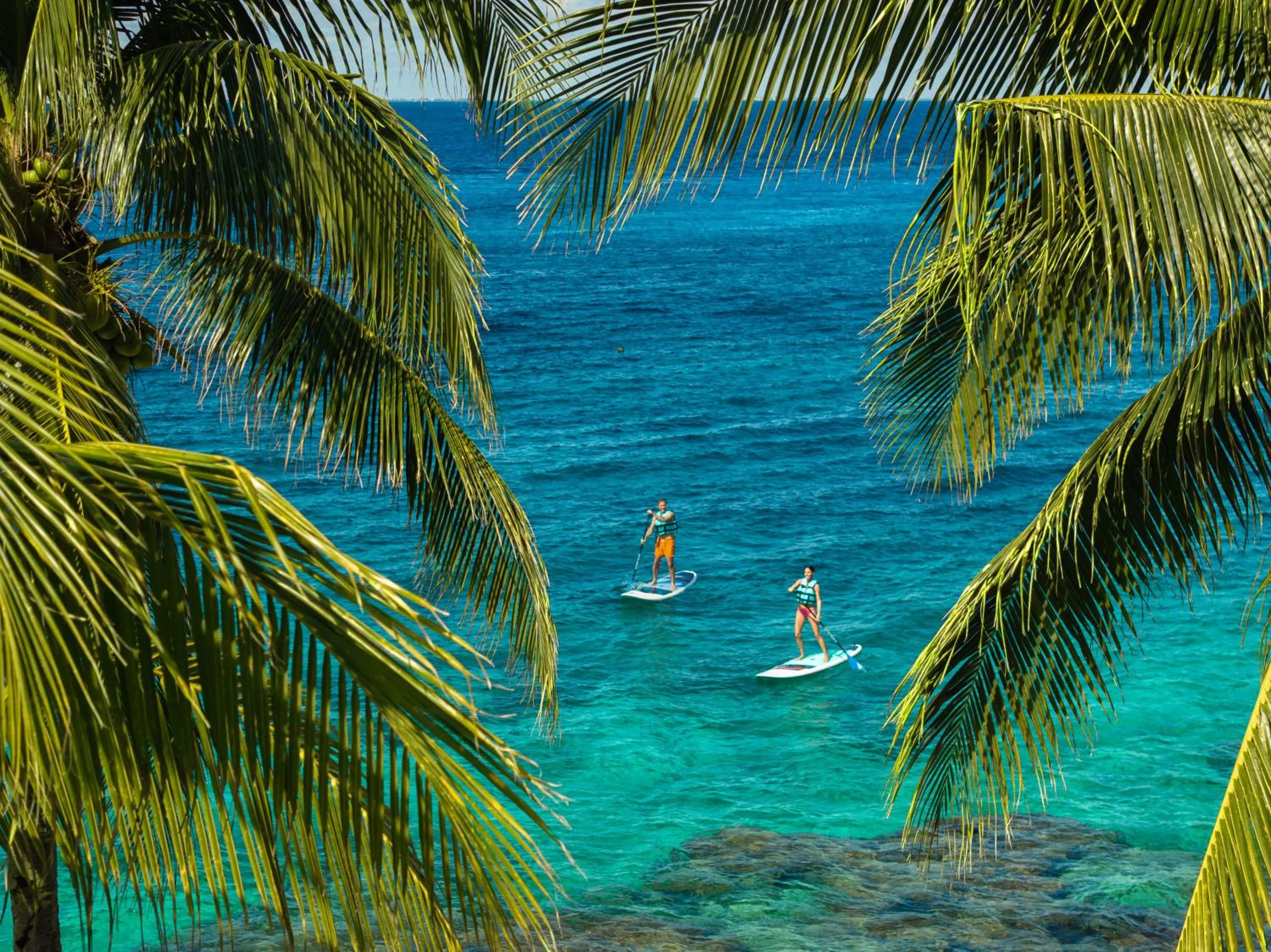 Activities in Cozumel Palace-All Inclusive