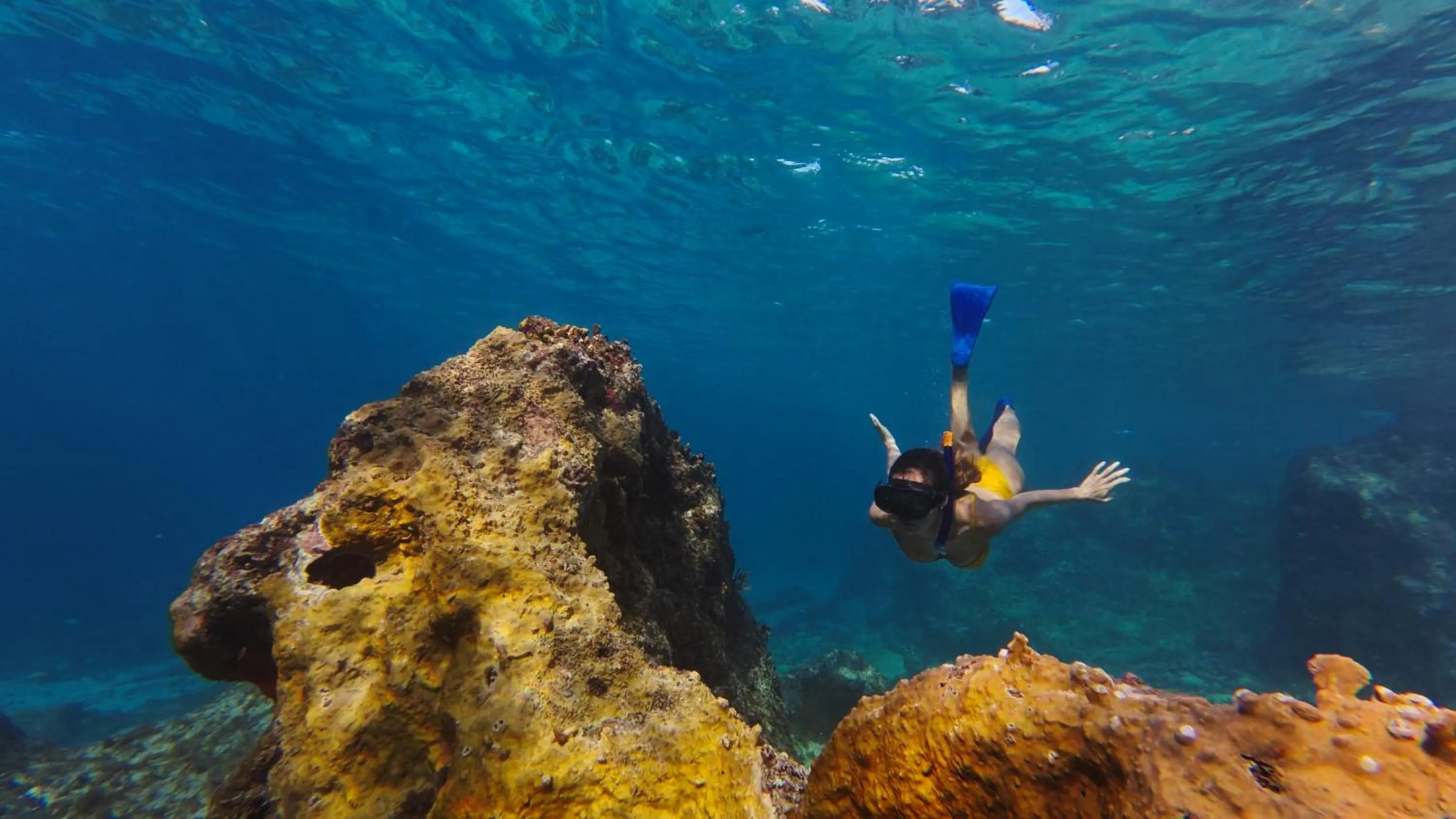 Activities in Cozumel Palace-All Inclusive