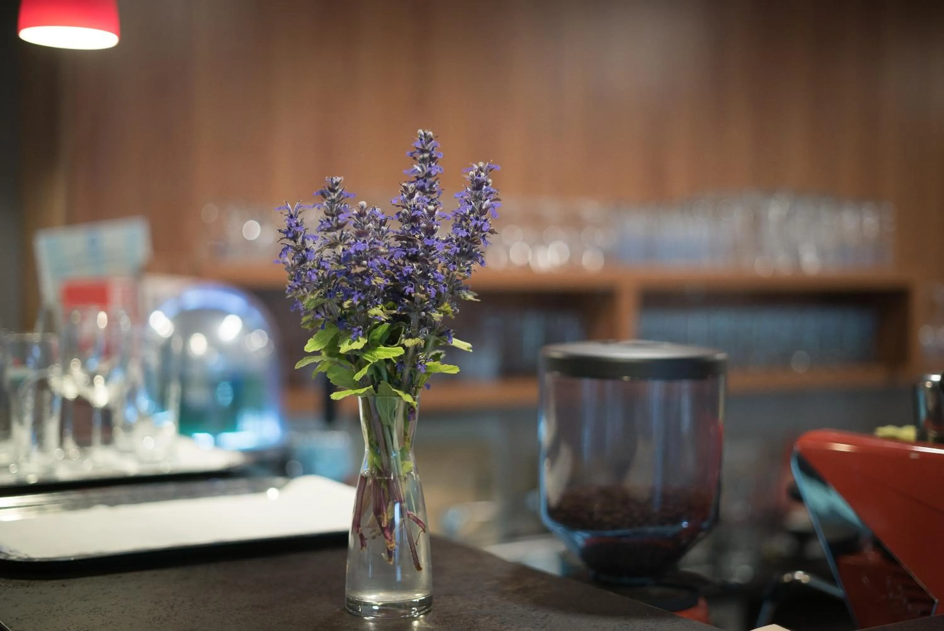Kitchen or kitchenette in Lobogo Resort