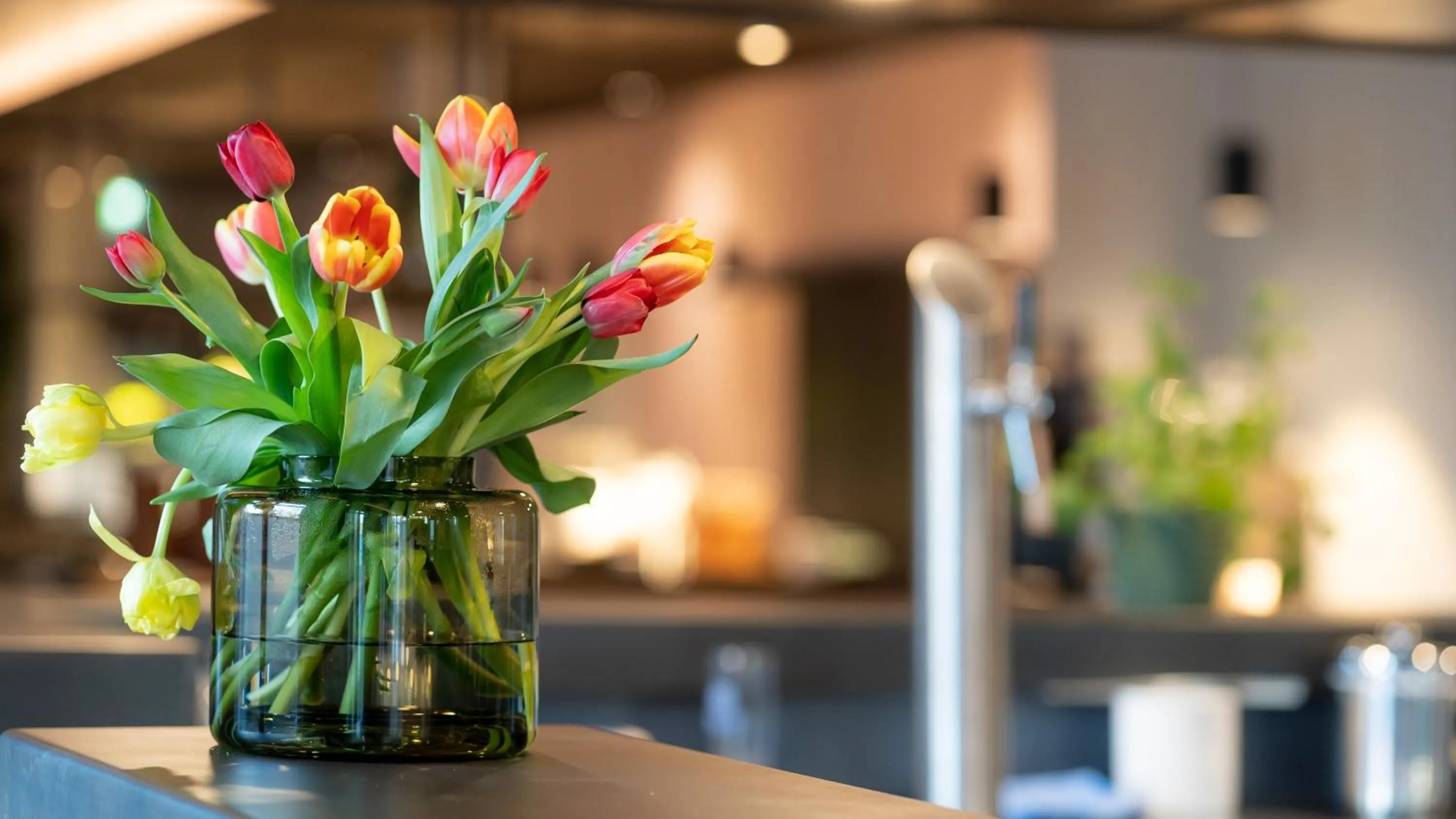 Lobby or reception in Burgau Hotel Sonnenhof