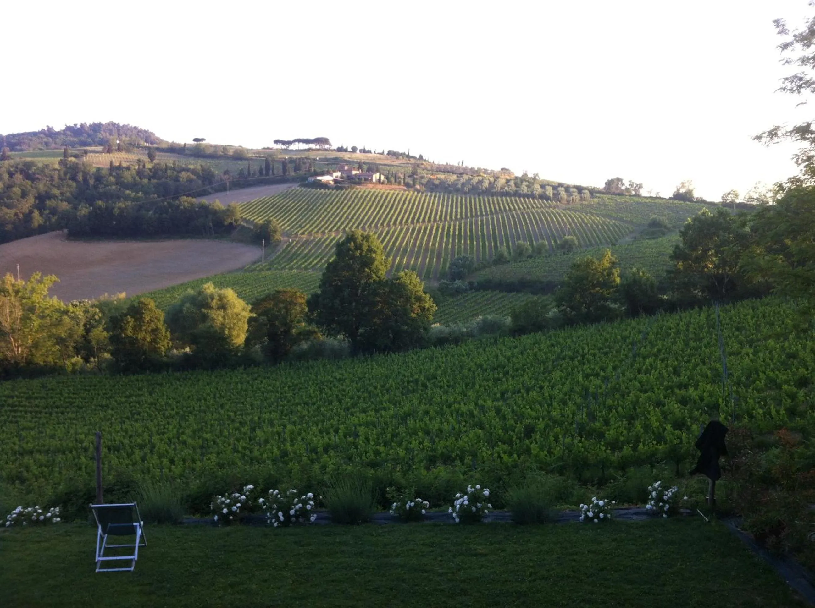 Day in Villa Del Sole