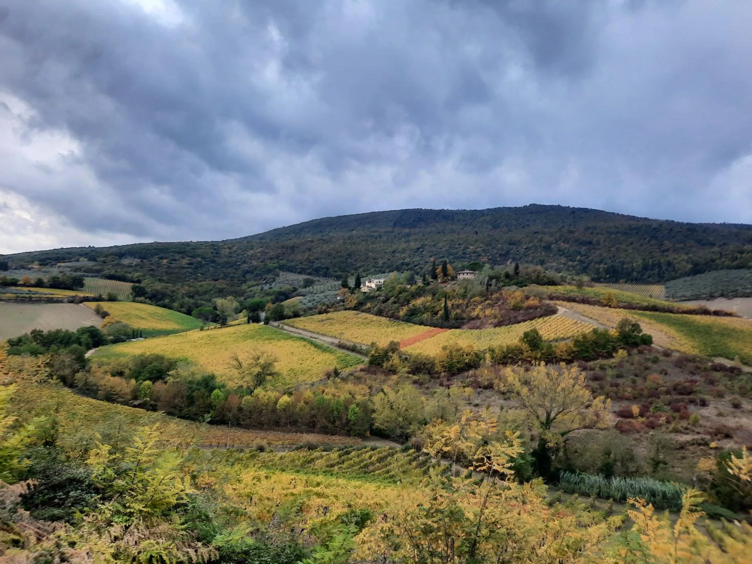 Villa Del Sole