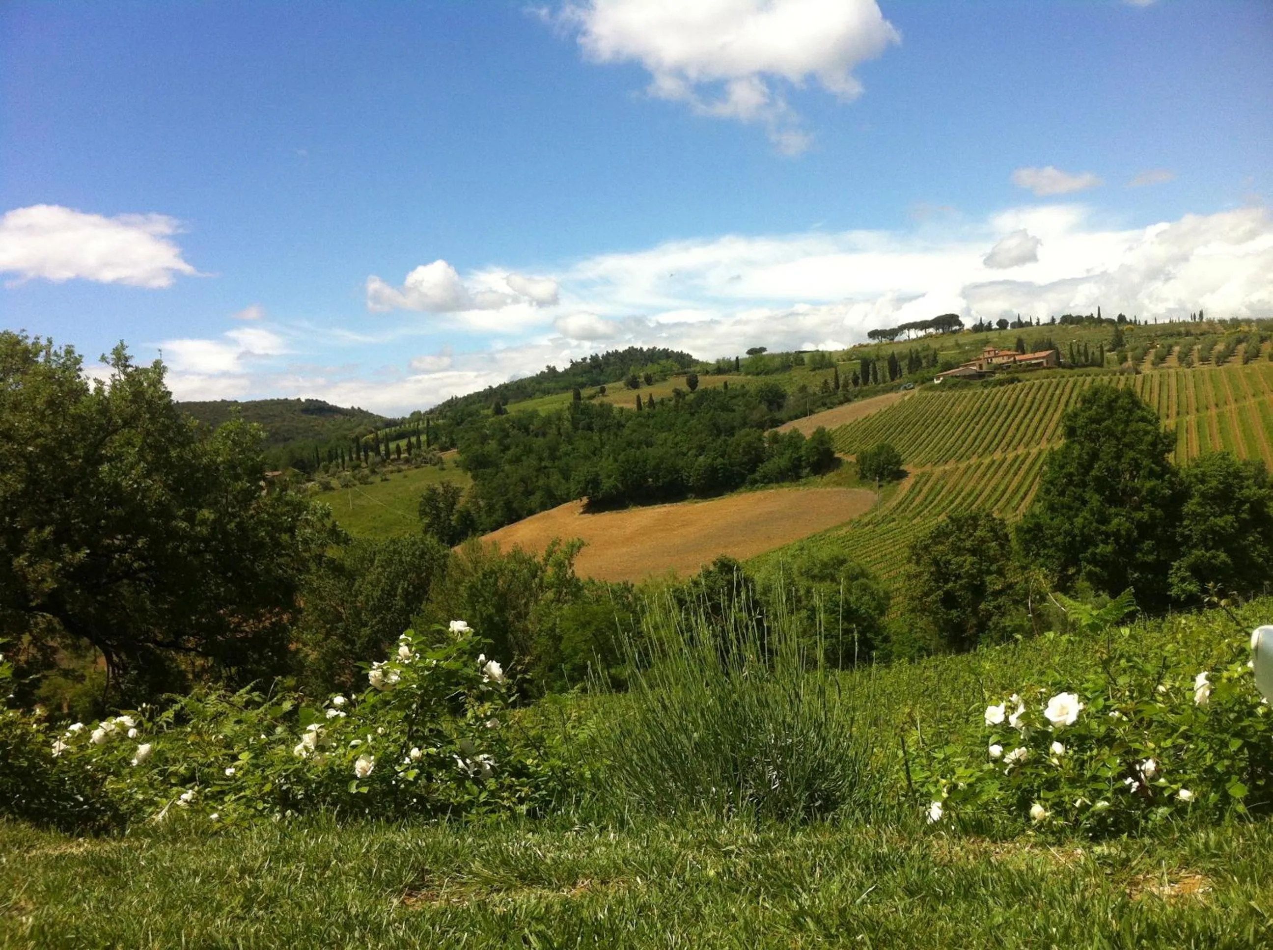 Day in Villa Del Sole