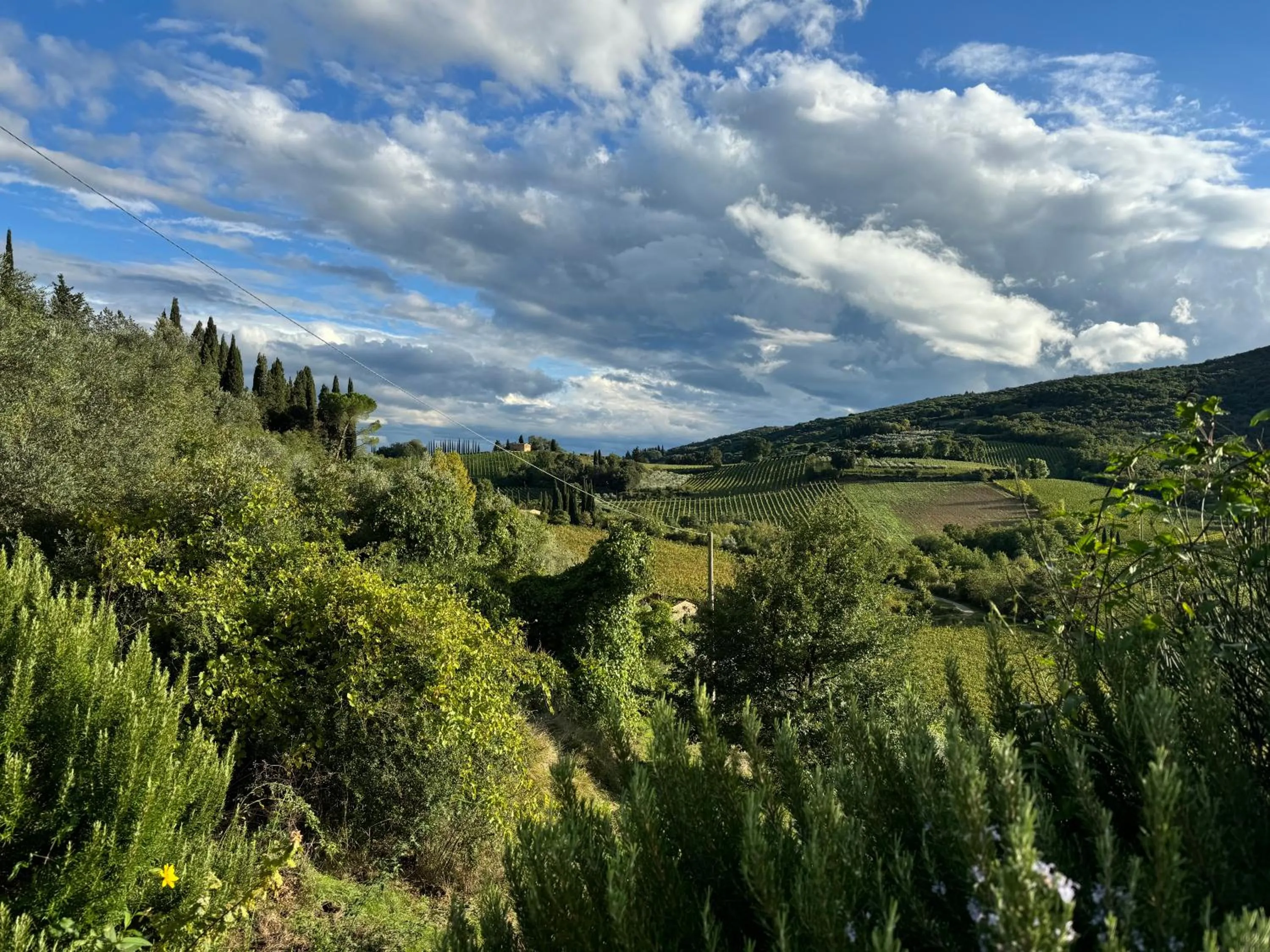 Villa Del Sole
