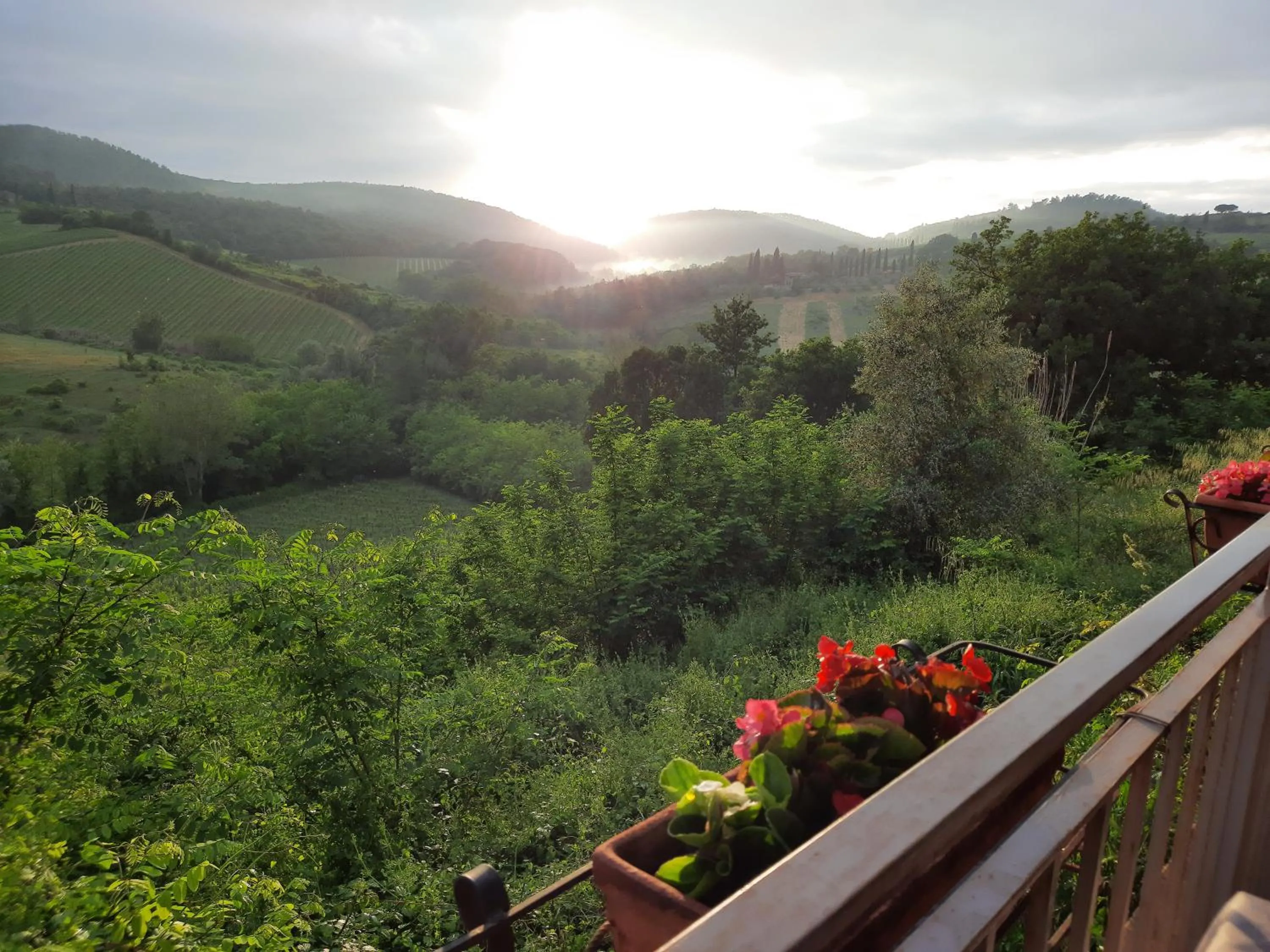 Villa Del Sole