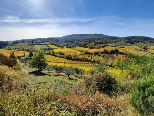 Villa Del Sole Villa Del Sole