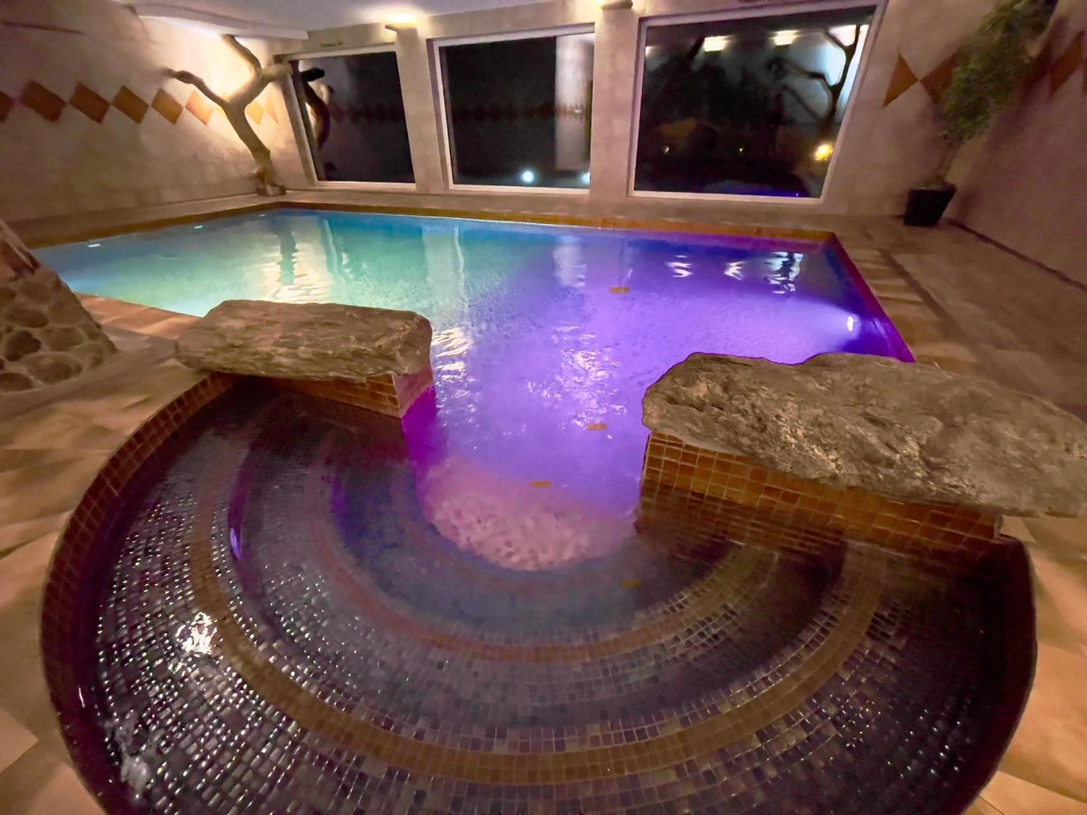 Swimming pool in Hotel Podlesí