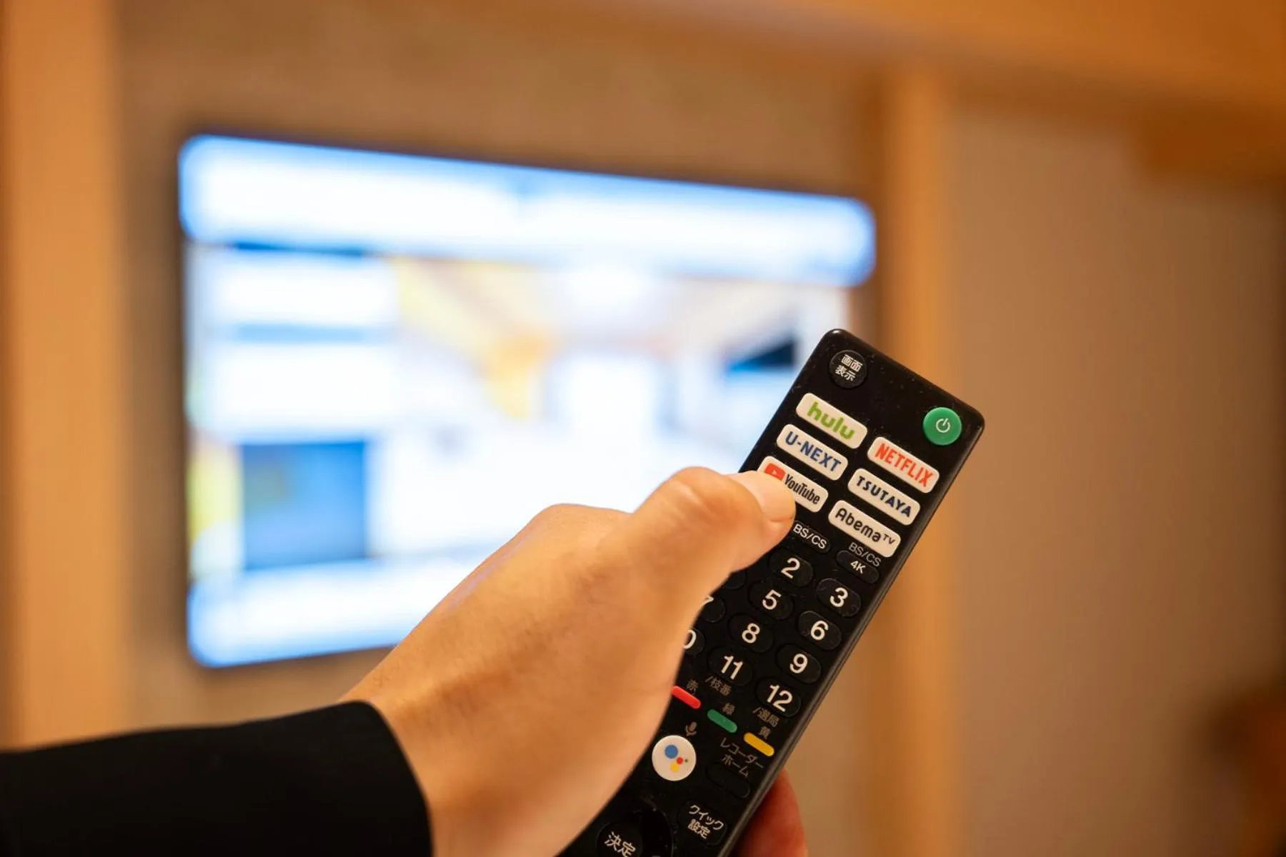 TV and multimedia in WELLSTAY Shinsekai Wakyo