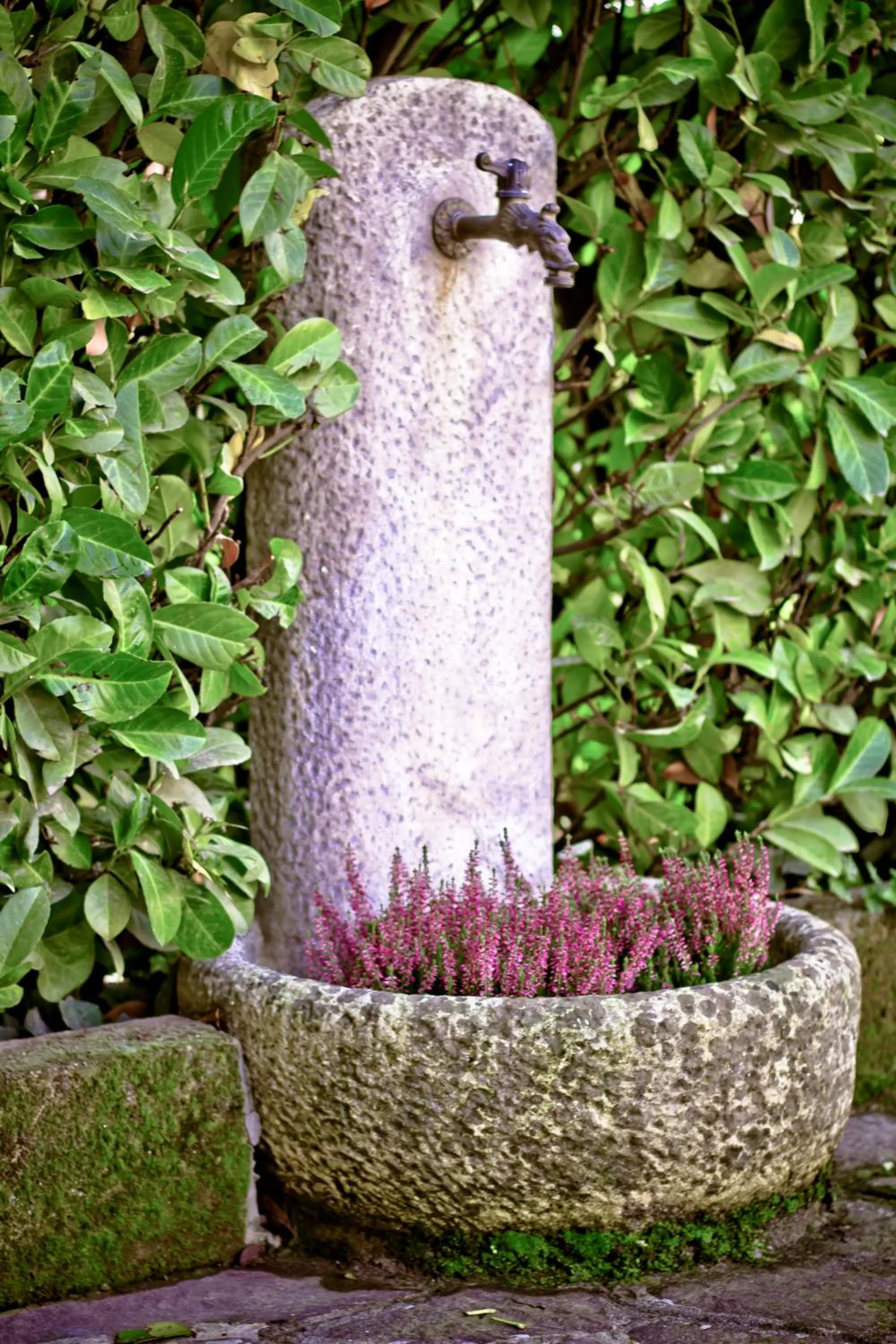 Garden in Borgo Manzoni - Charming House