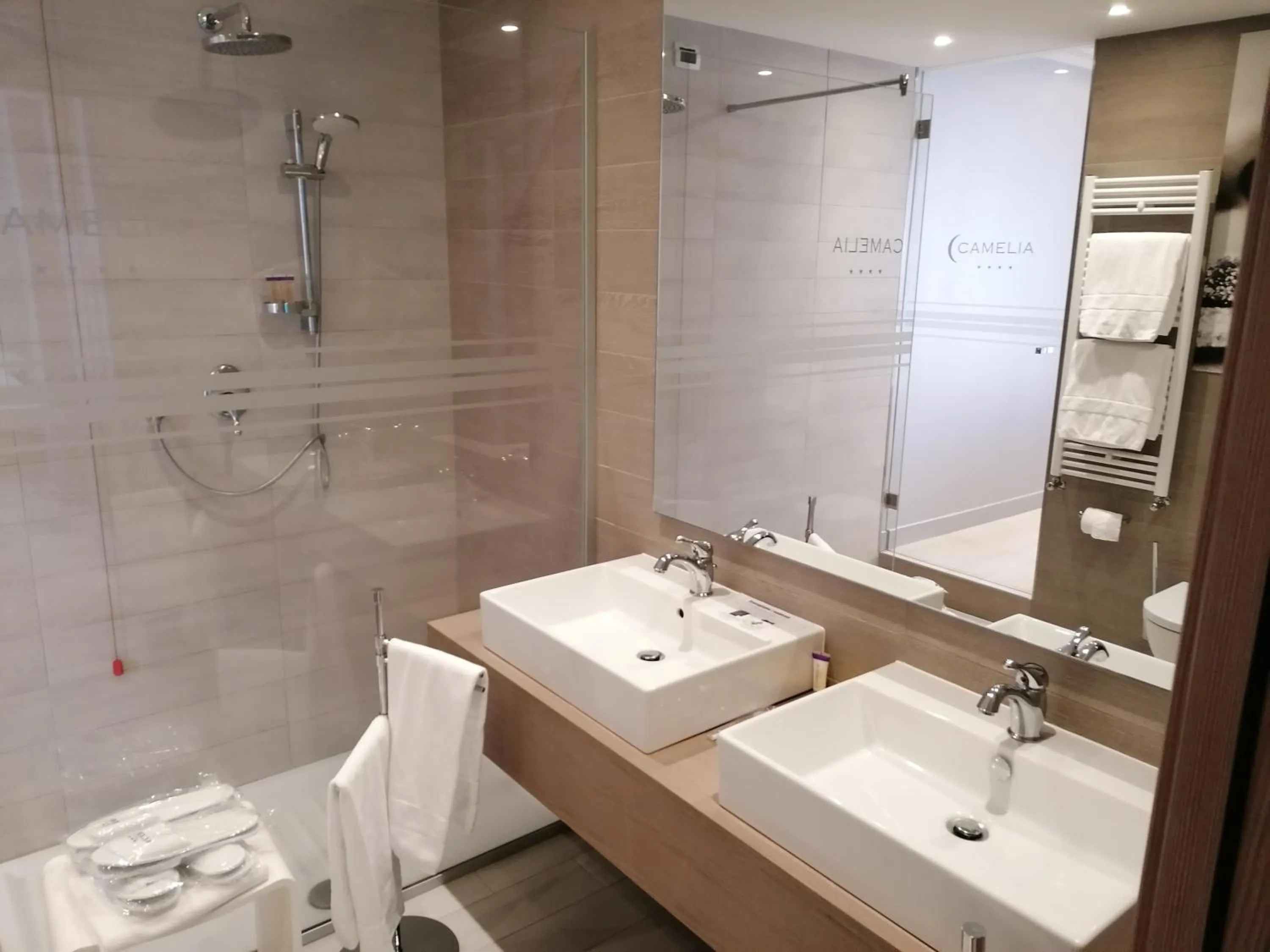 Bathroom in Hotel Camelia