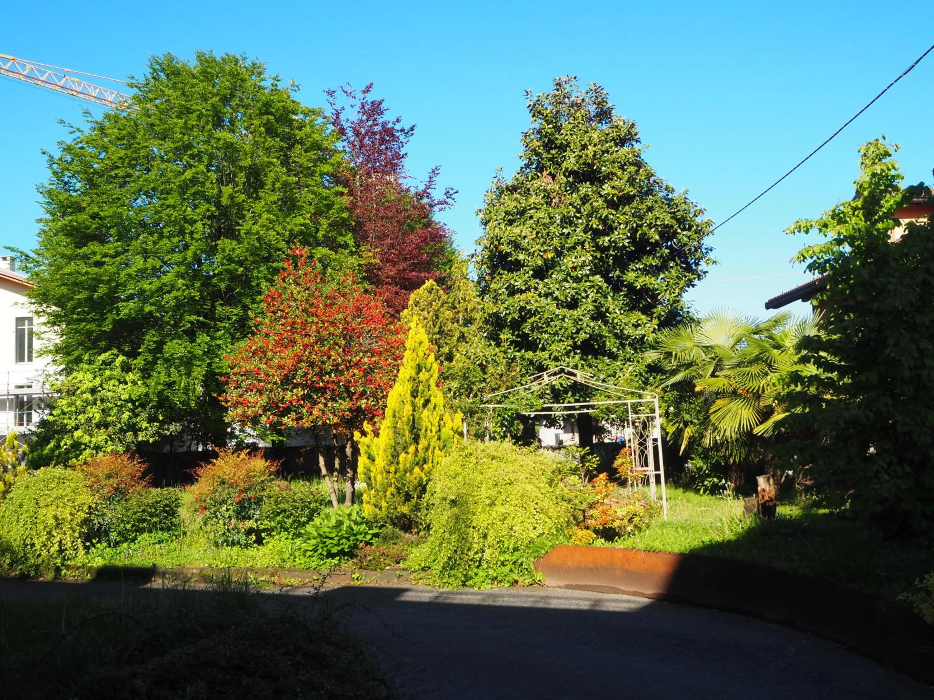 Garden in Albergo Ristorante Trieste Boves