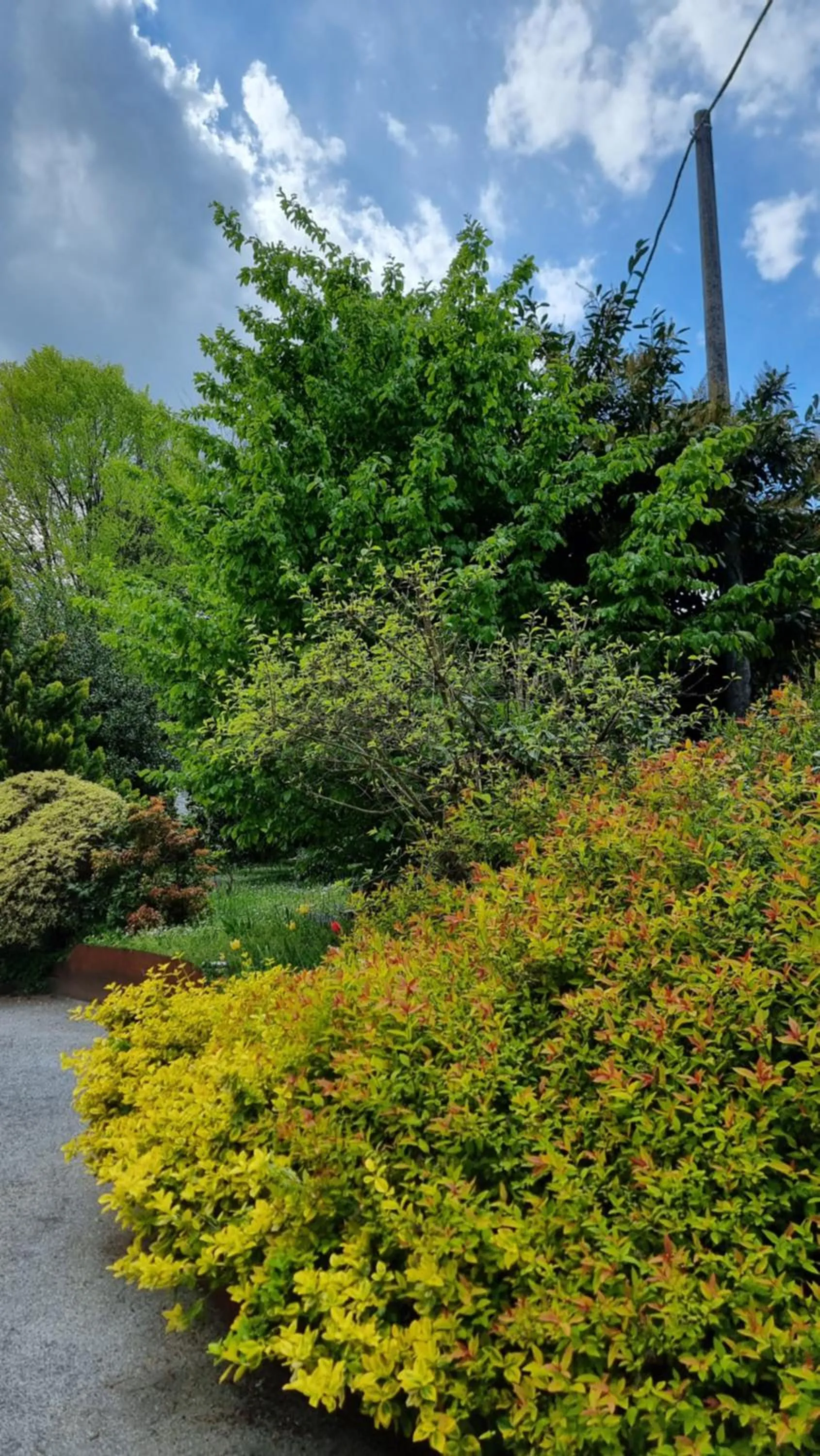 Albergo Ristorante Trieste Boves