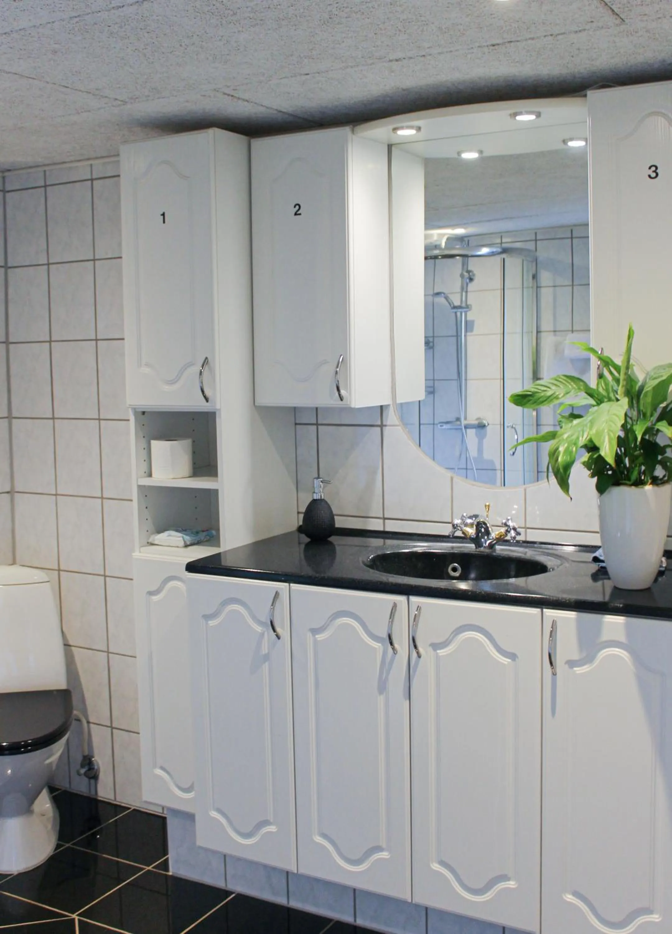 Toilet in Sunbjerre B&B