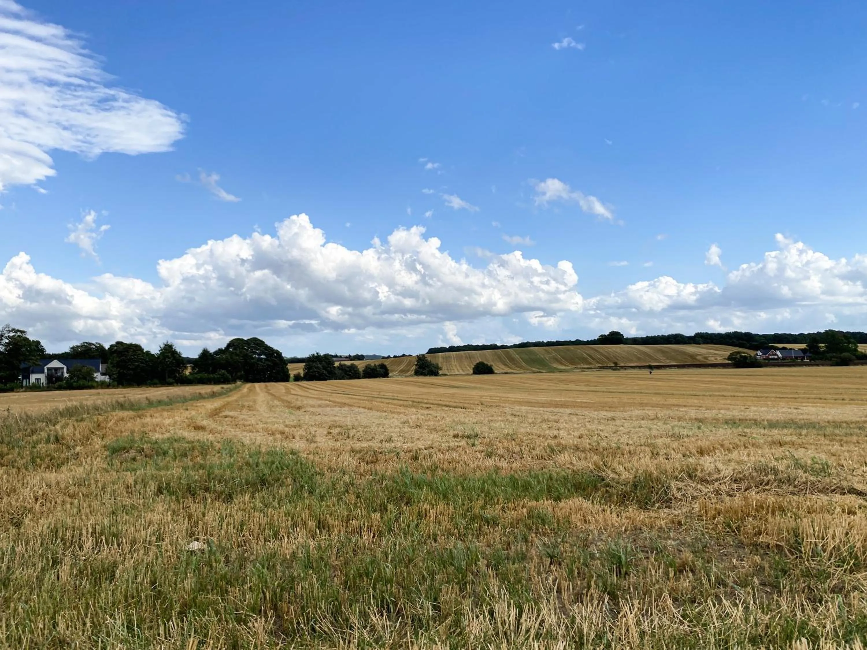 Natural landscape in Sunbjerre B&B