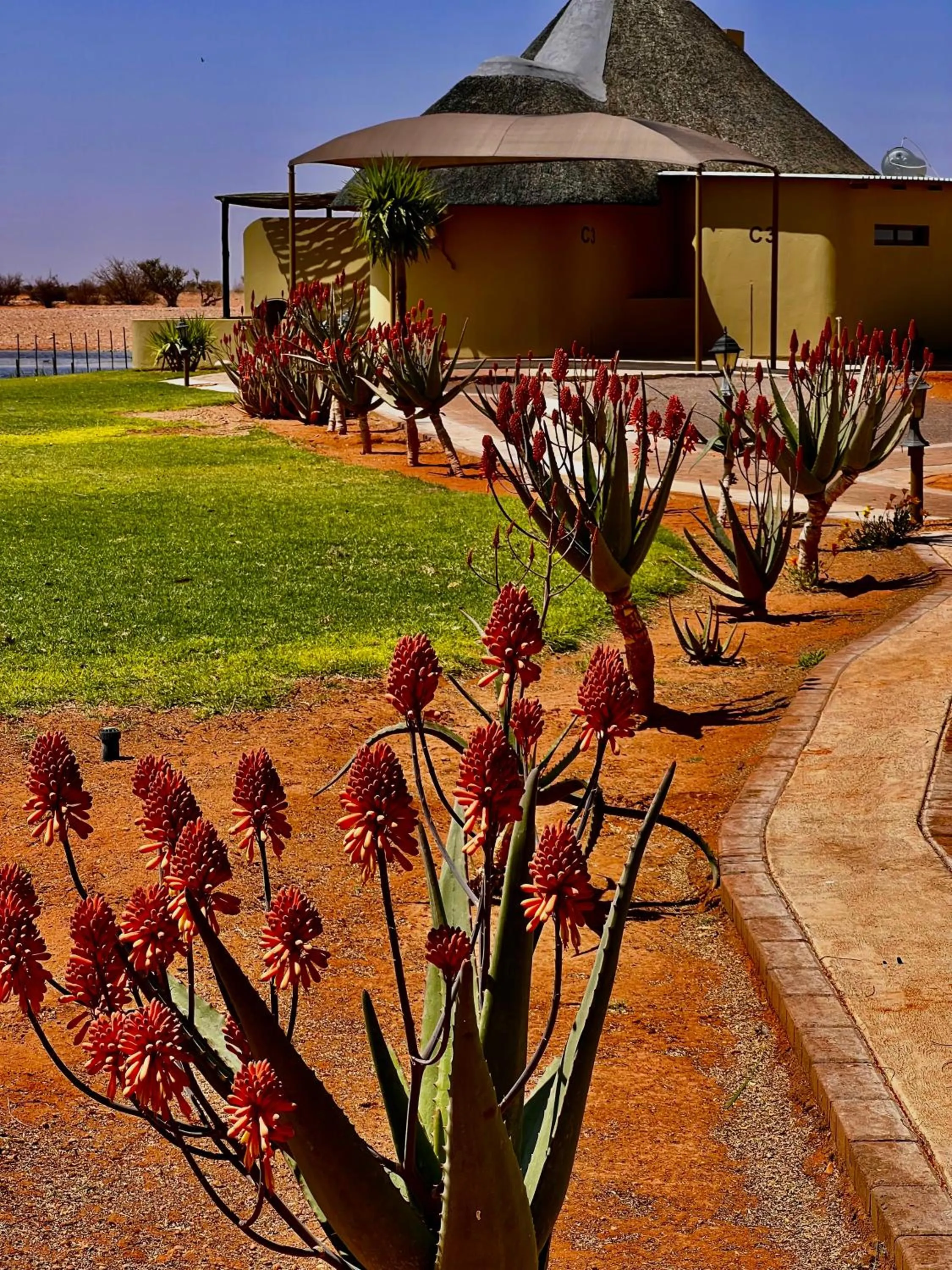 Garden view in Lapa Lange Game Lodge