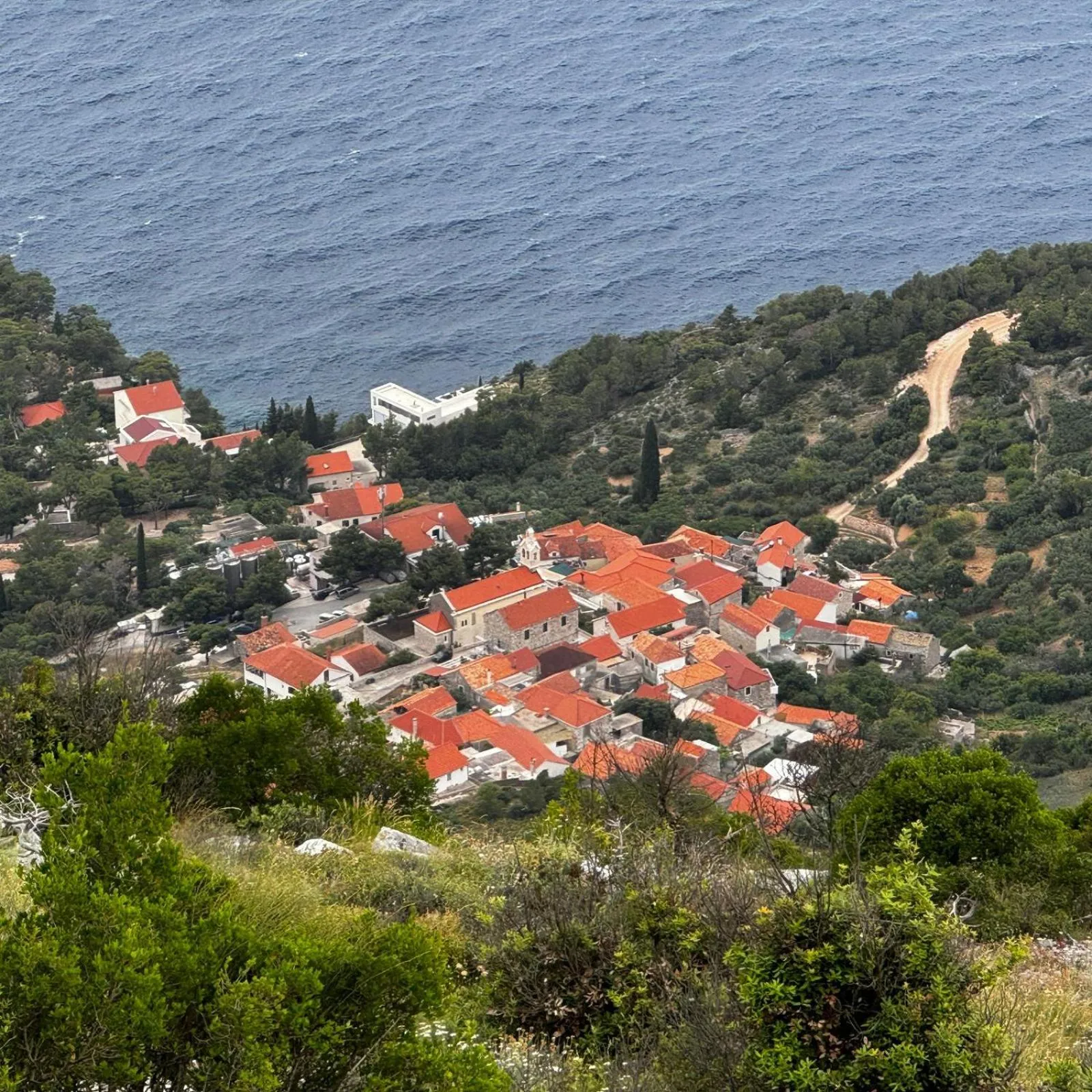 Landmark view in Villa Jagoda