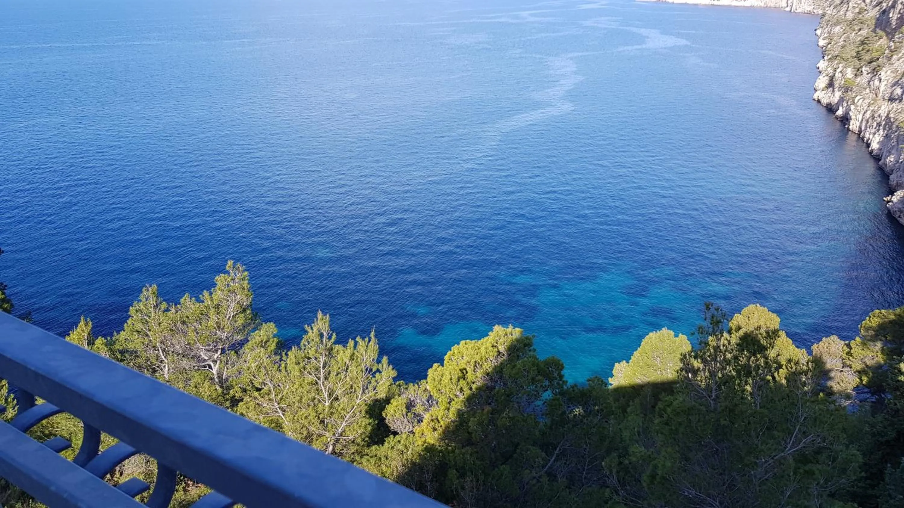 Natural landscape in Villa Jagoda