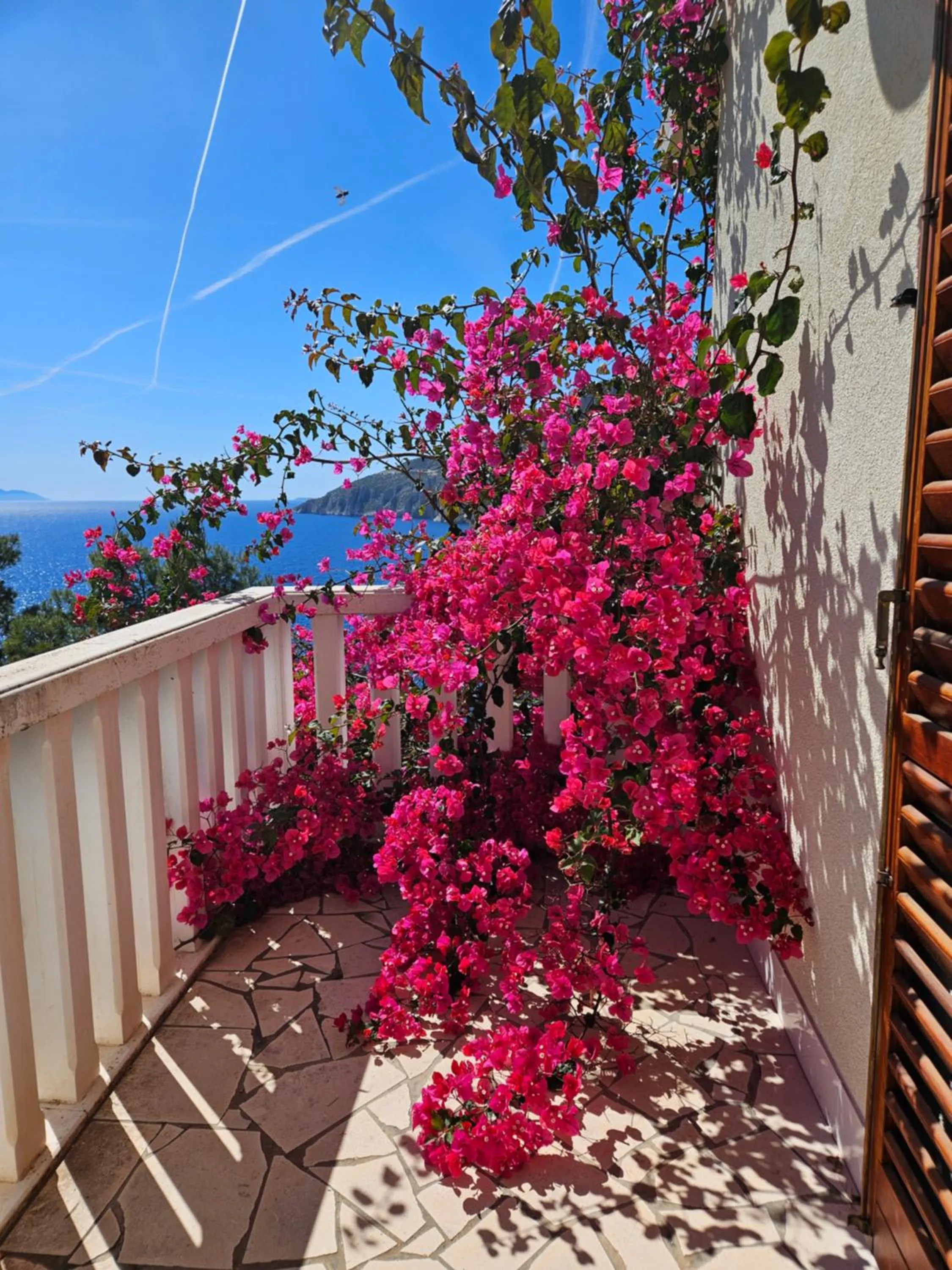 Garden in Villa Jagoda
