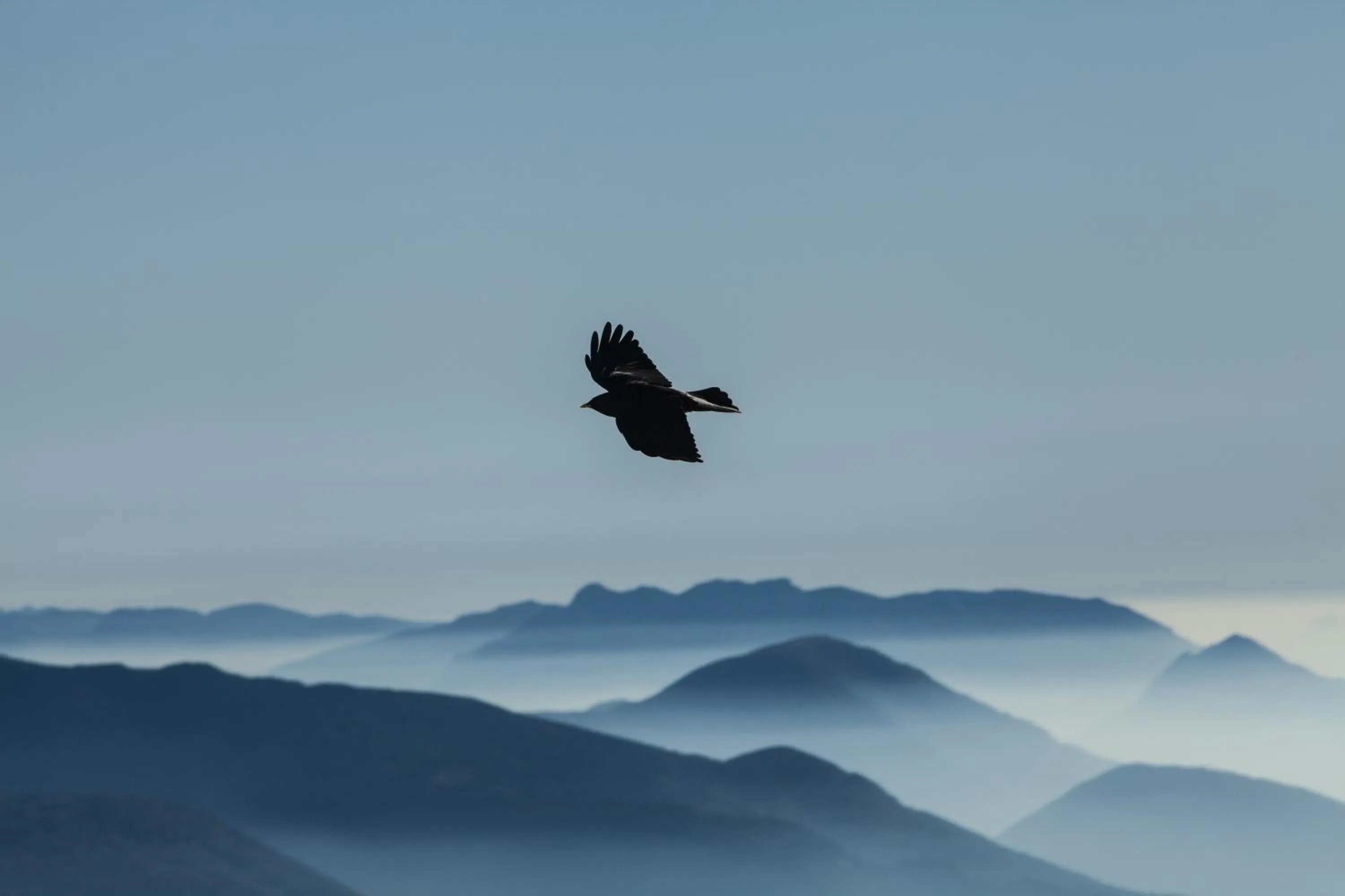 Mountain view in Der Zirmerhof