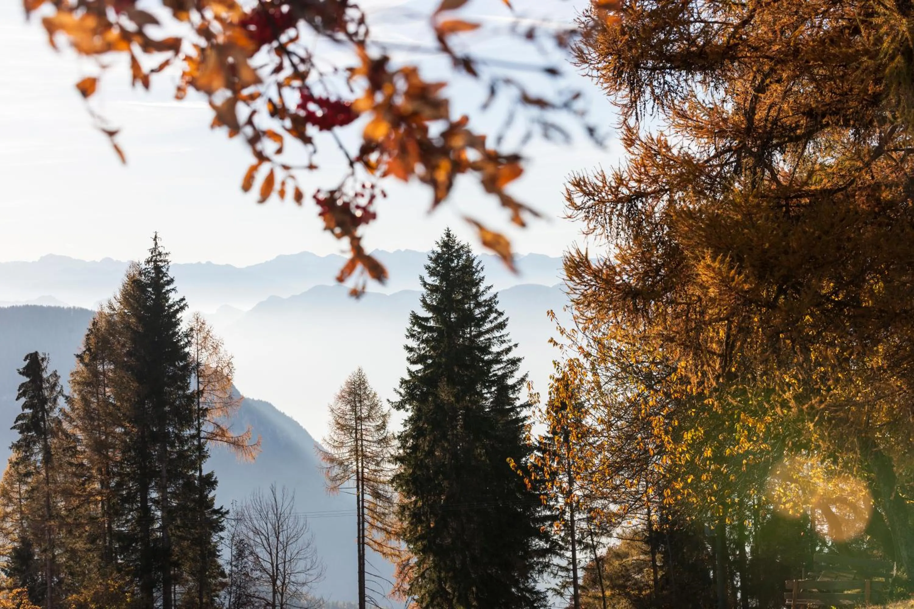 View (from property/room) in Der Zirmerhof