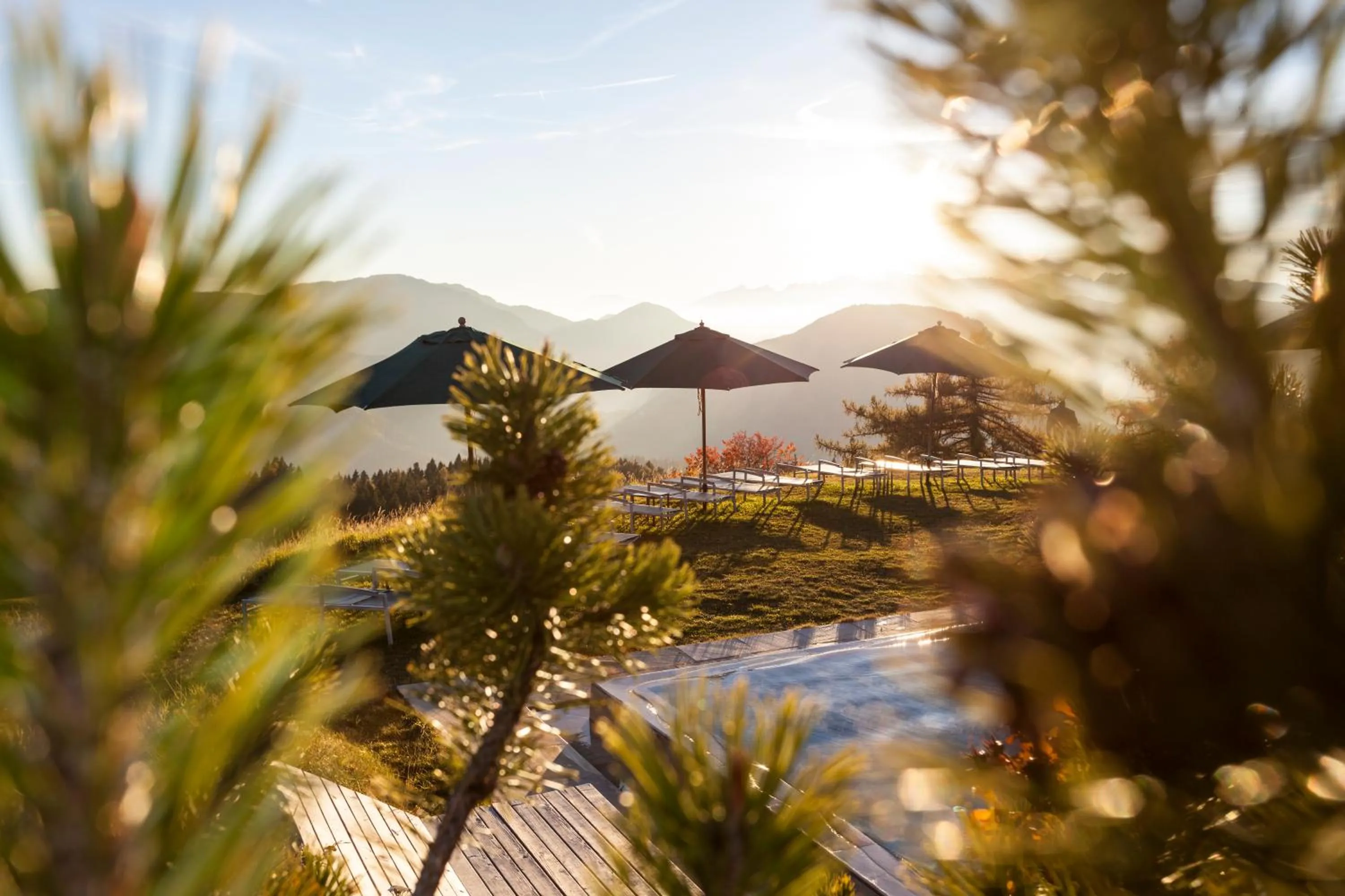 Swimming pool in Der Zirmerhof