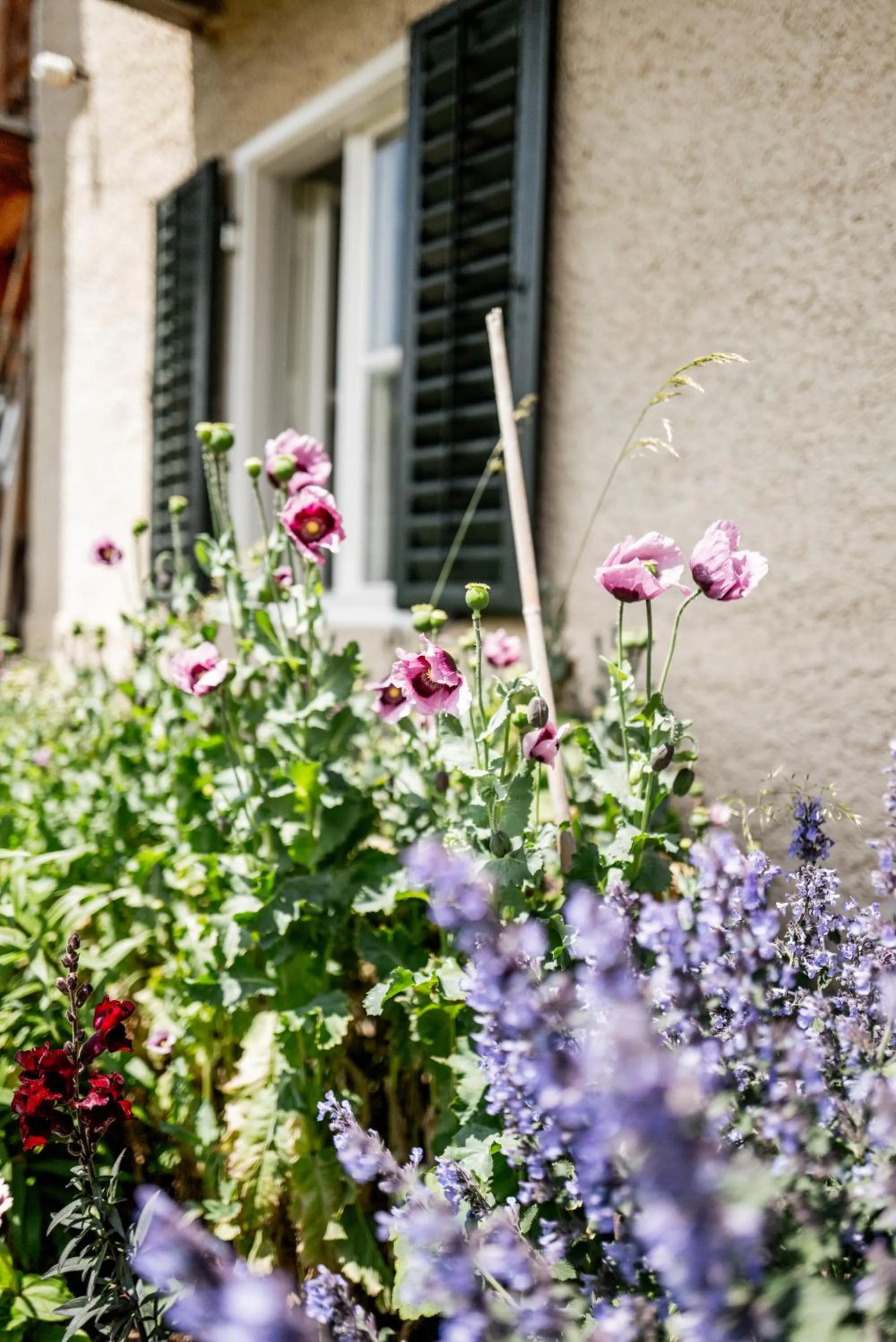 Property building in Der Zirmerhof