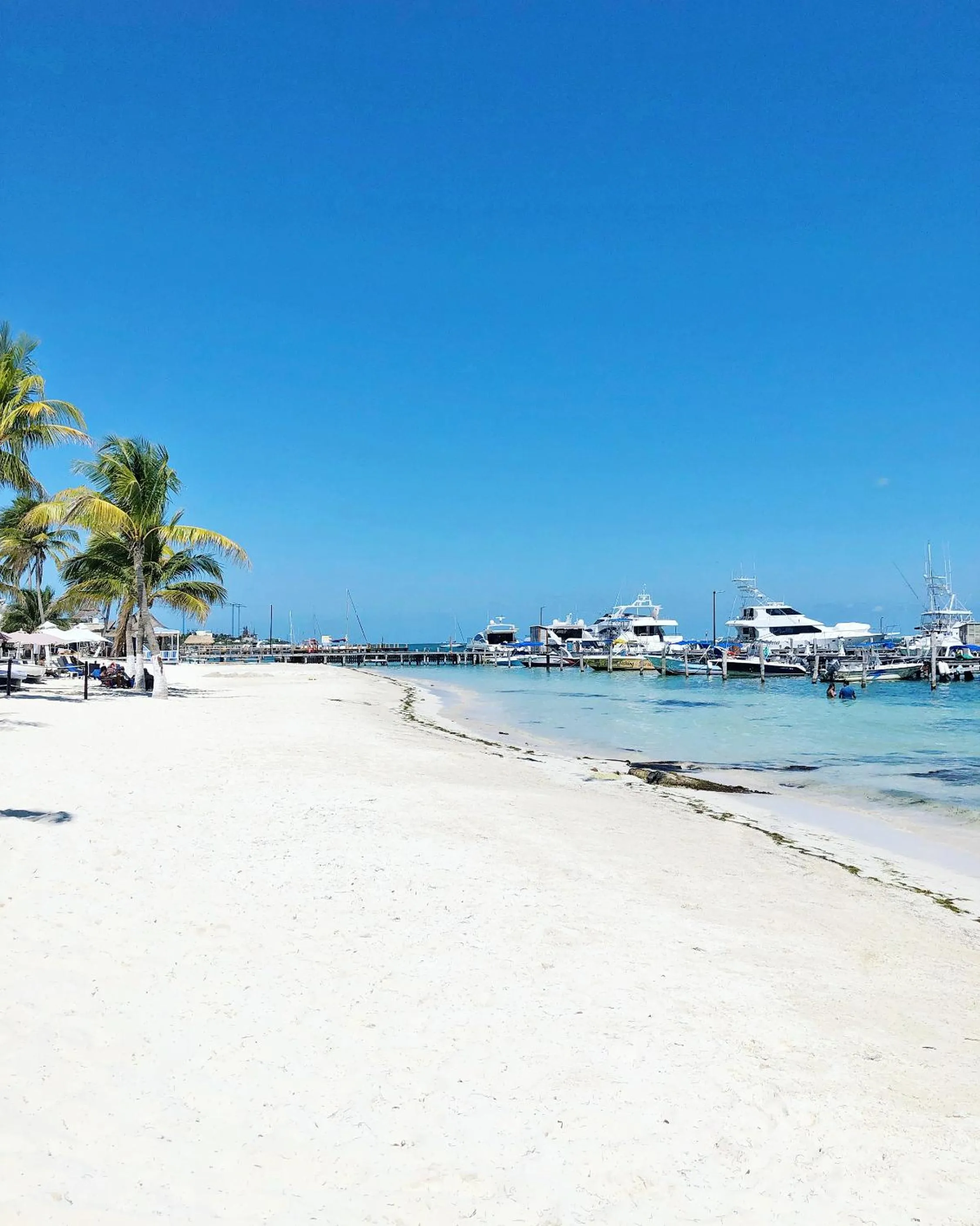 Beach in All Ritmo Cancun Resort & Water Park