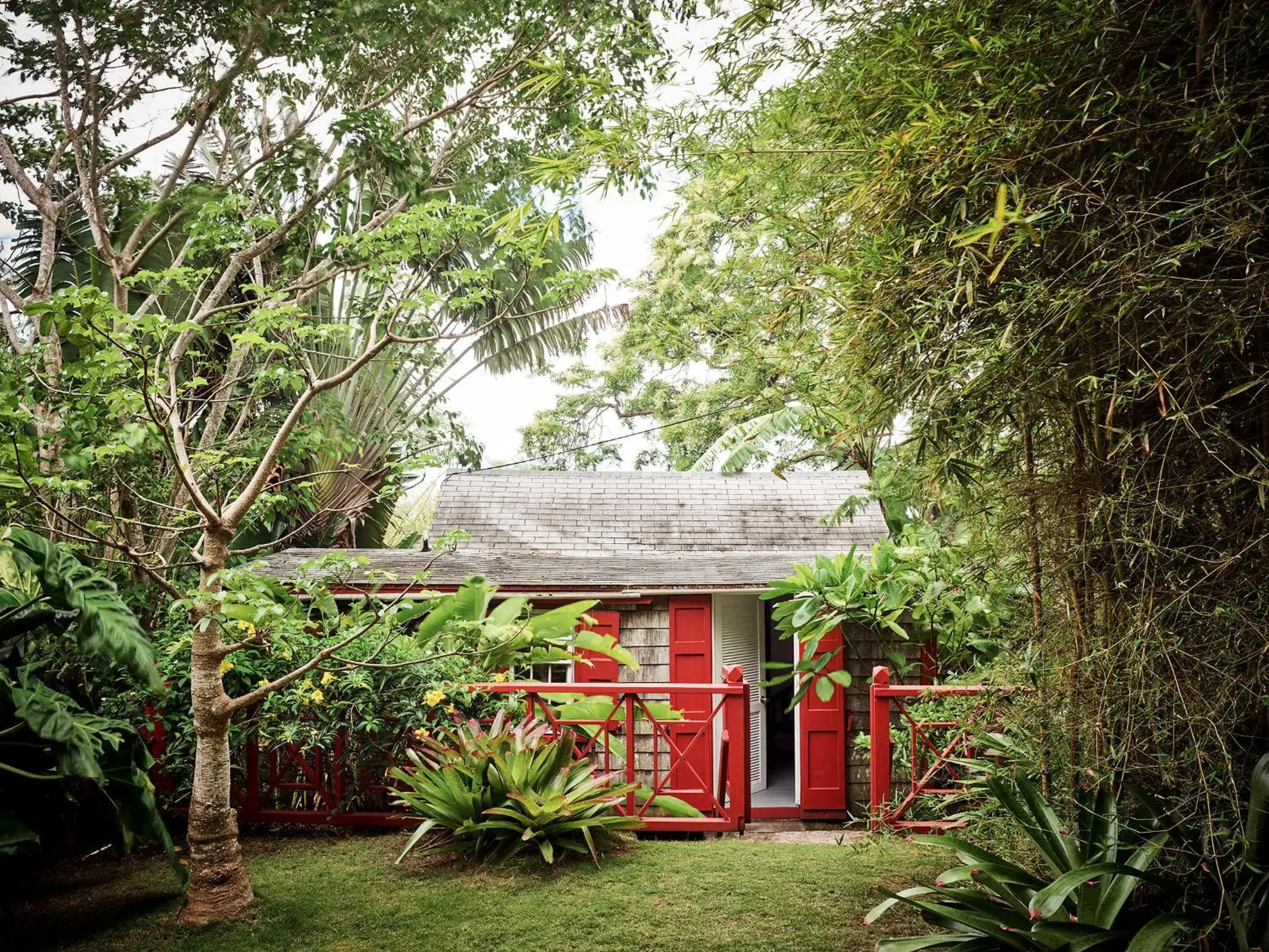 Cottage with Garden View in Golden Rock Nevis Cottage with Garden View in Golden Rock Nevis