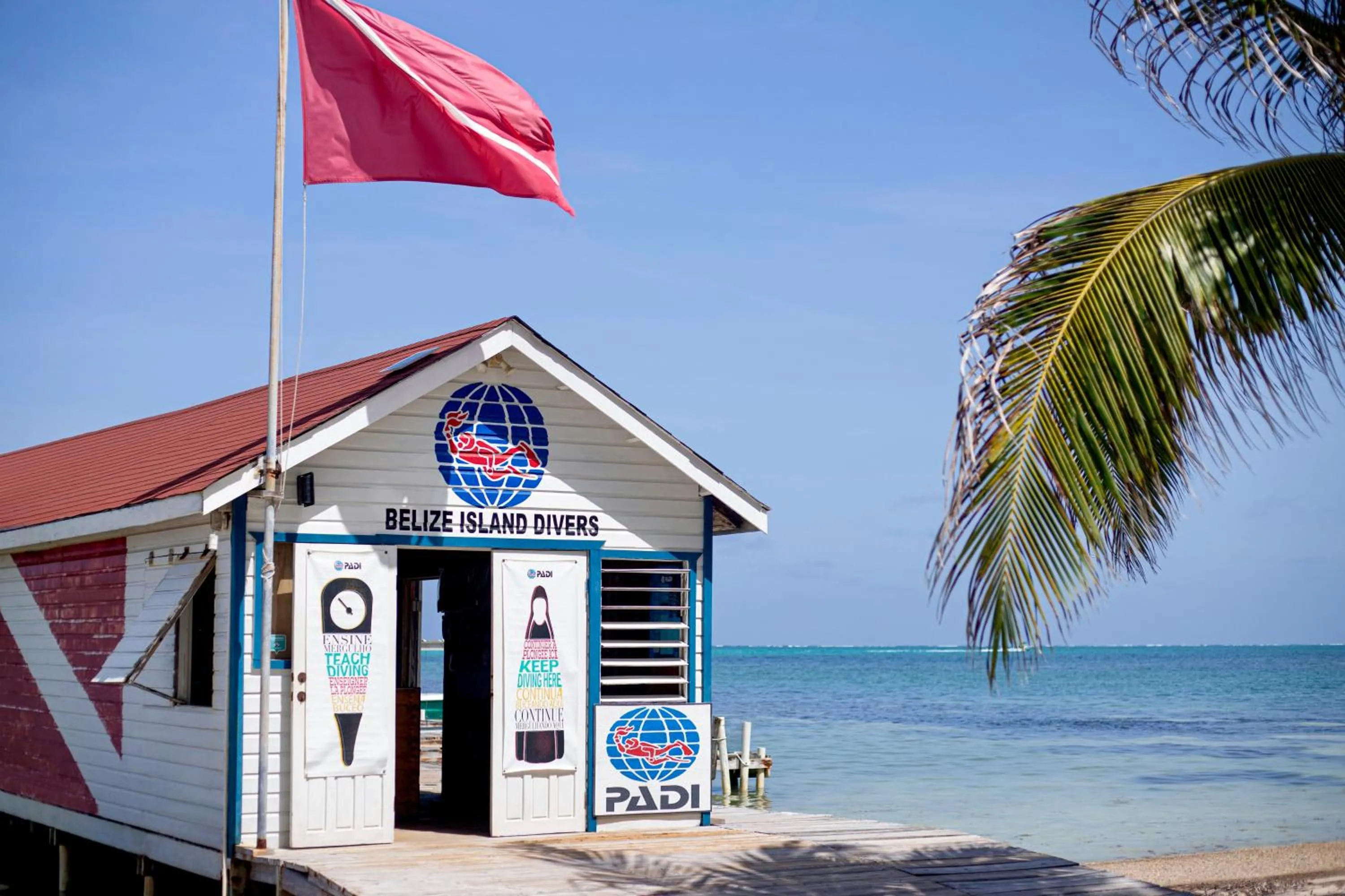 Diving in Corona del Mar