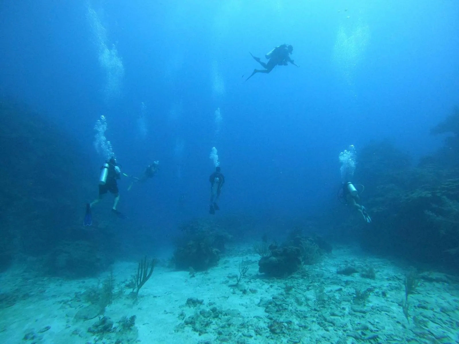 Activities in Corona del Mar