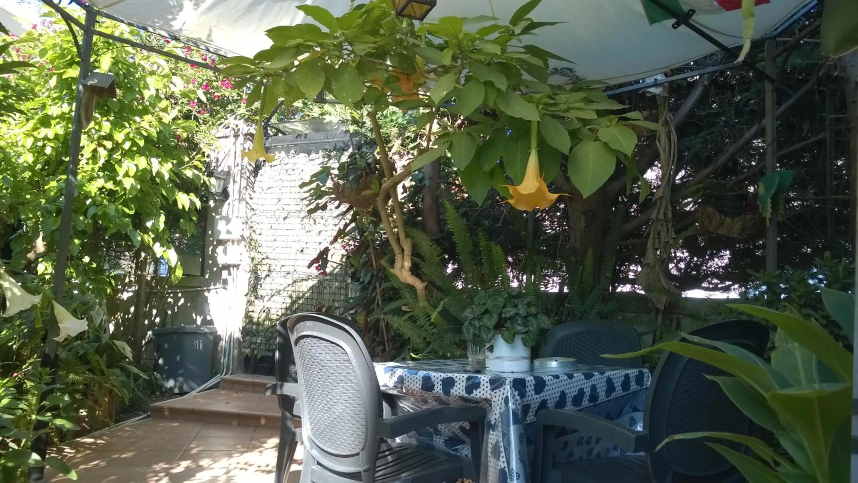 Garden in B&B Mare E Sole