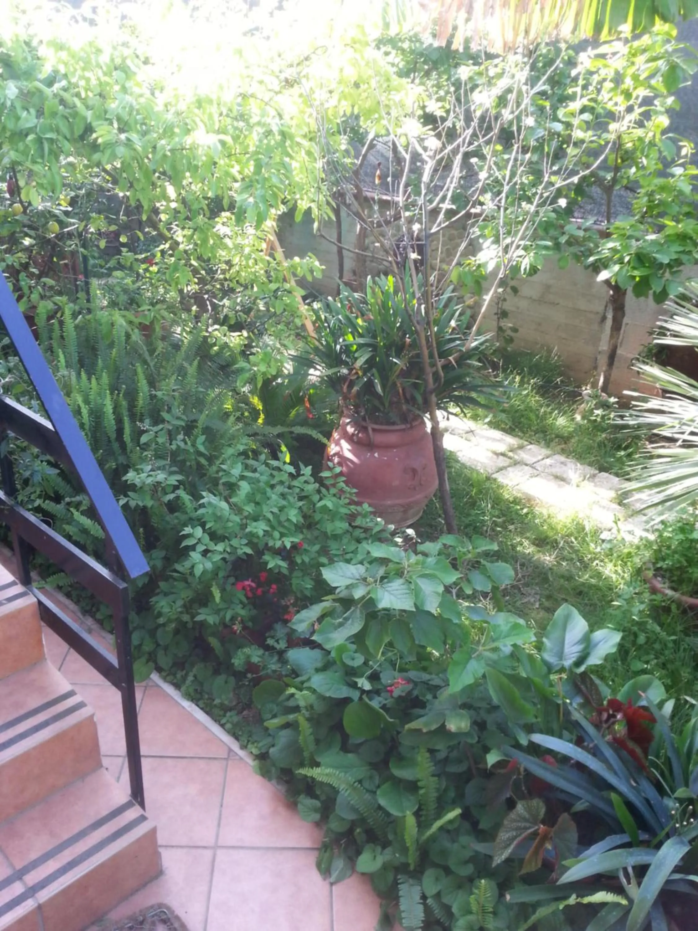 Garden in B&B Mare E Sole