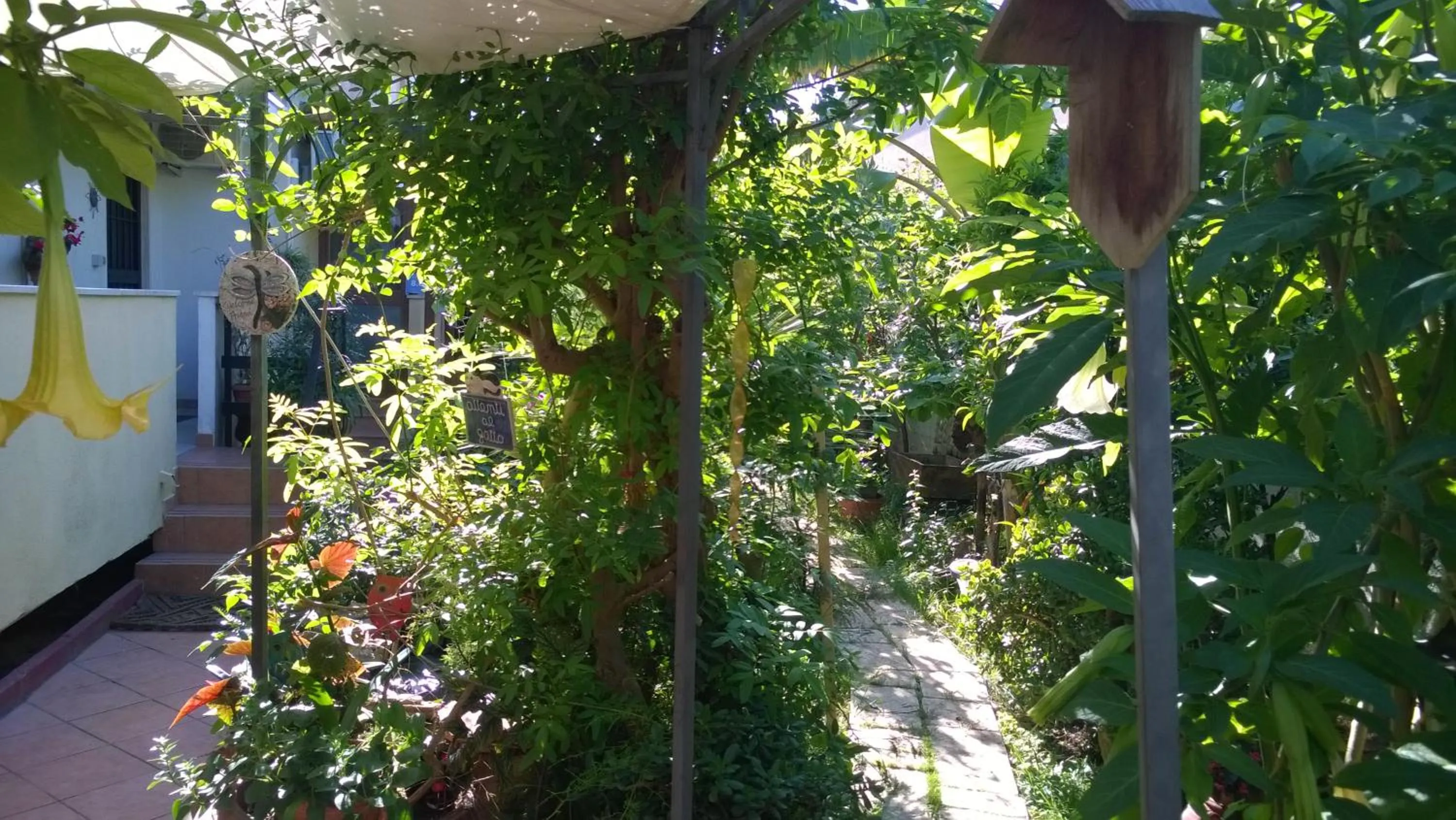 Garden in B&B Mare E Sole