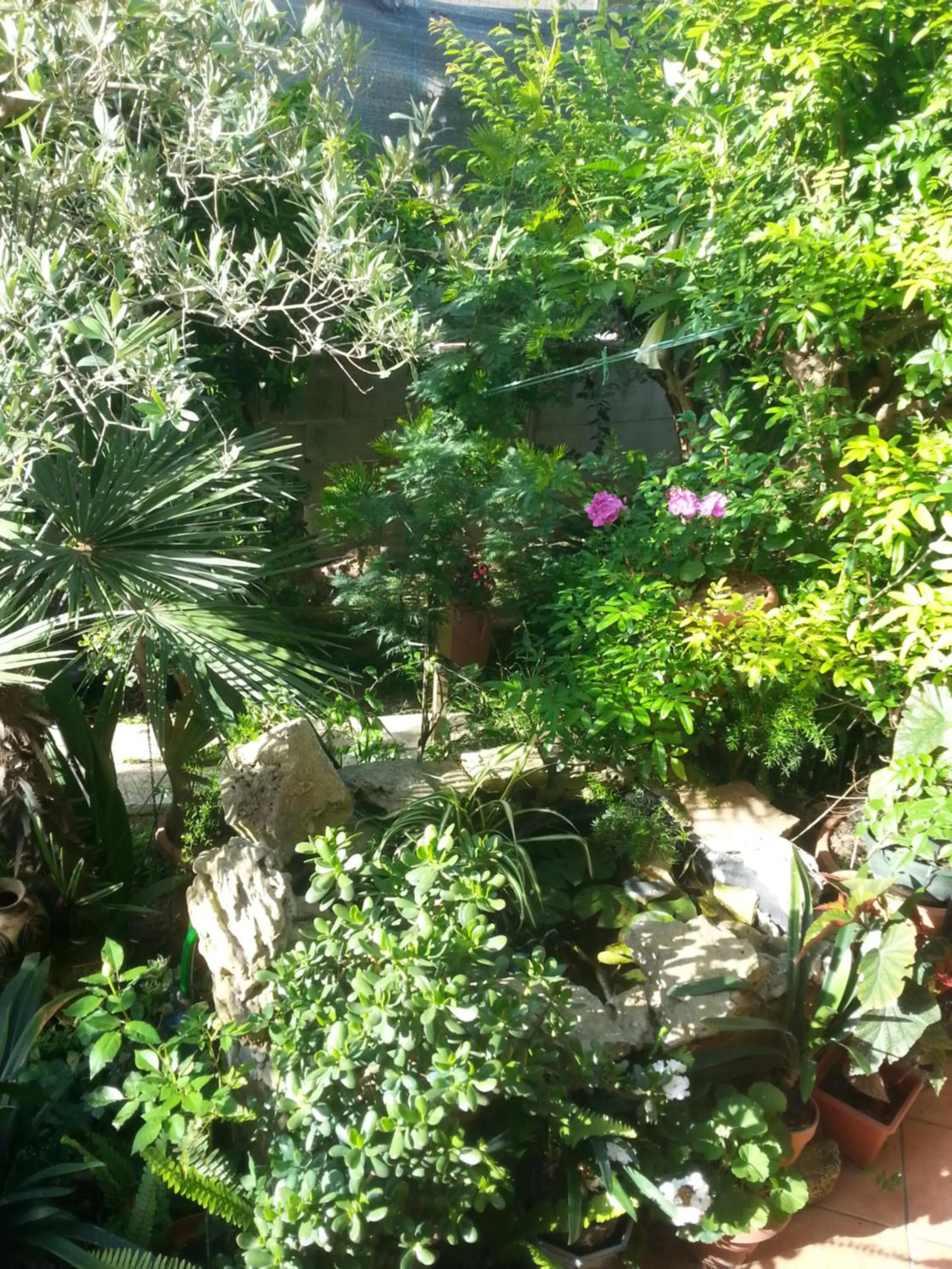 Garden in B&B Mare E Sole