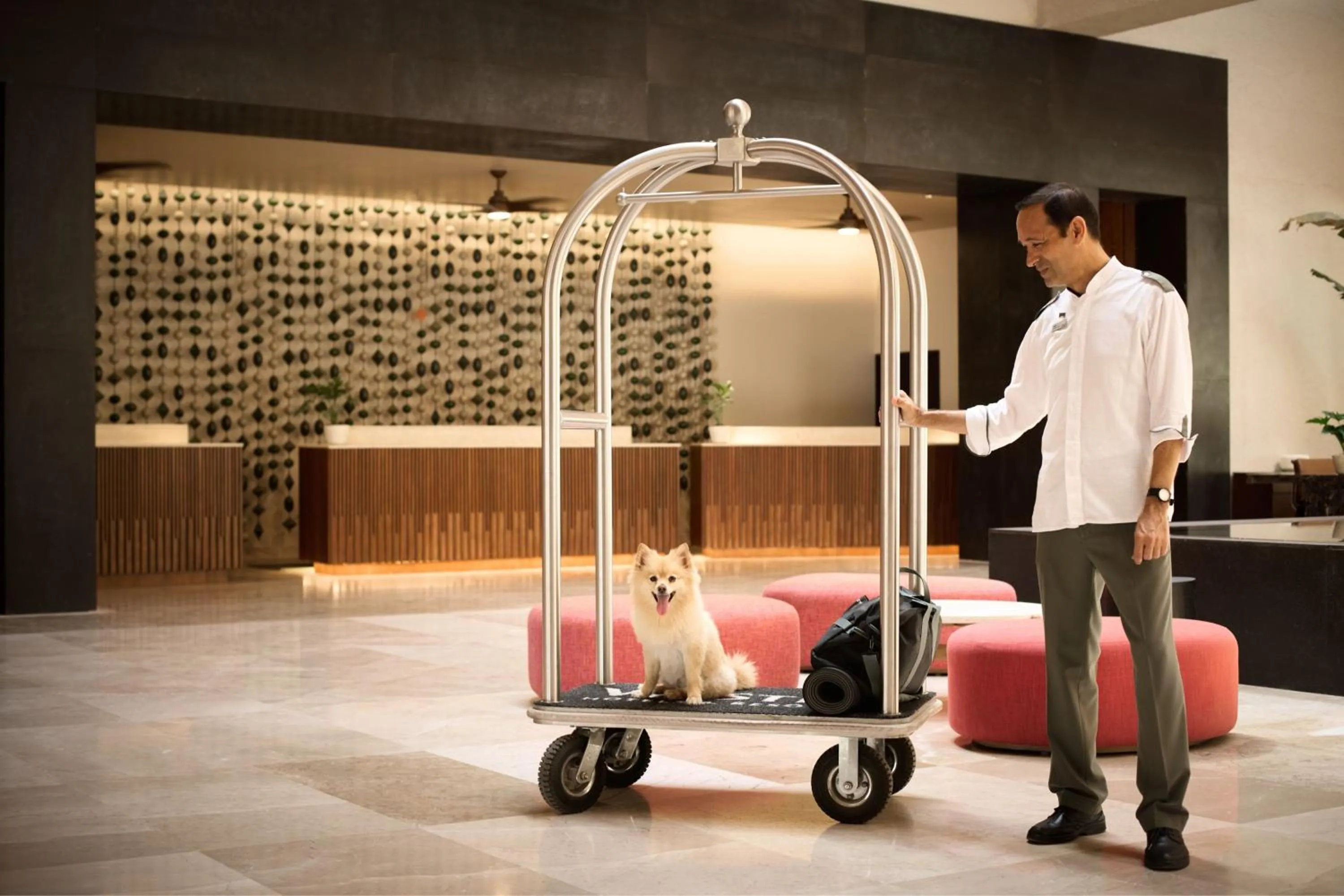 Other in The Westin Resort & Spa, Puerto Vallarta