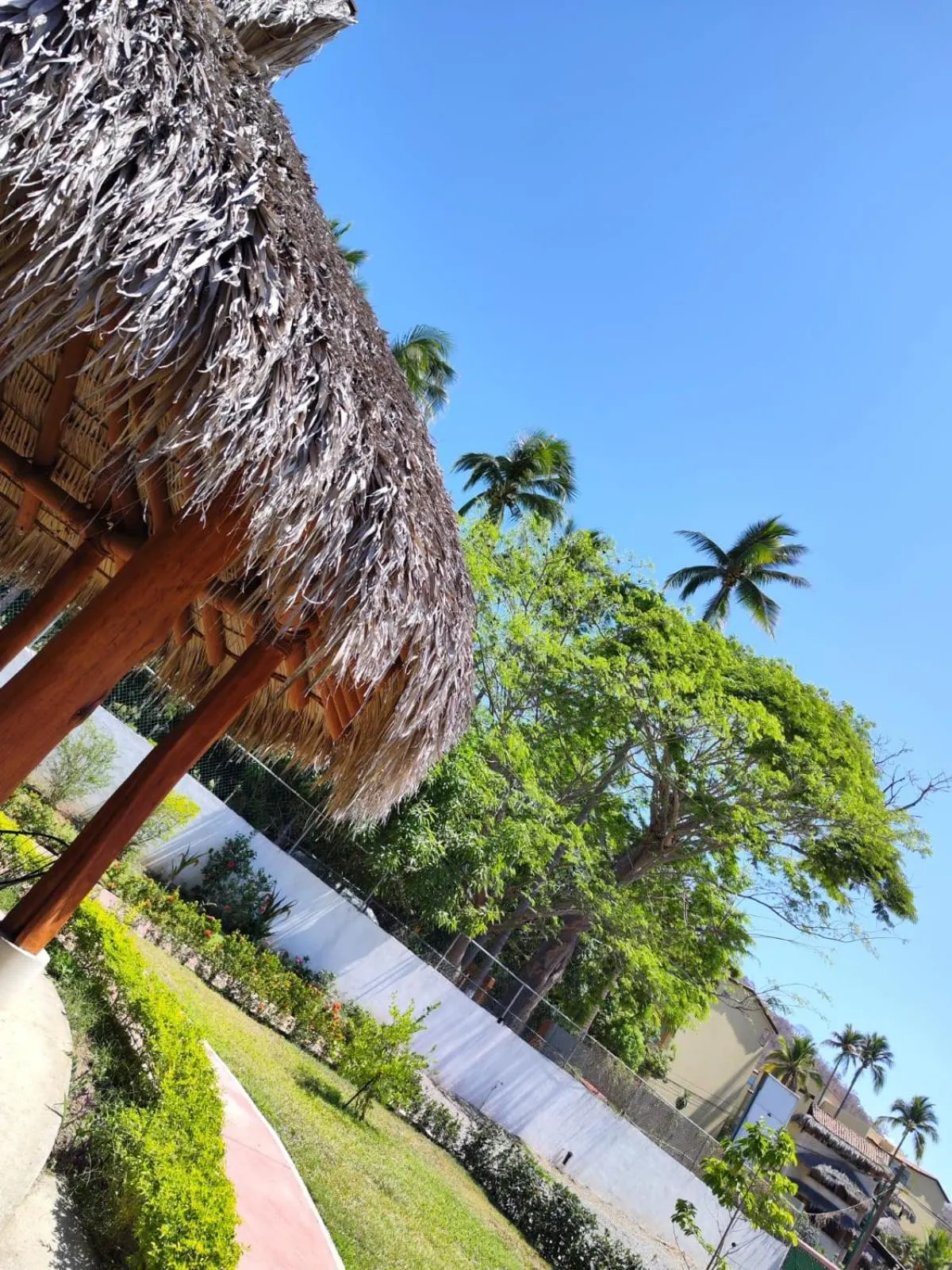 Garden in Hotel J.B.