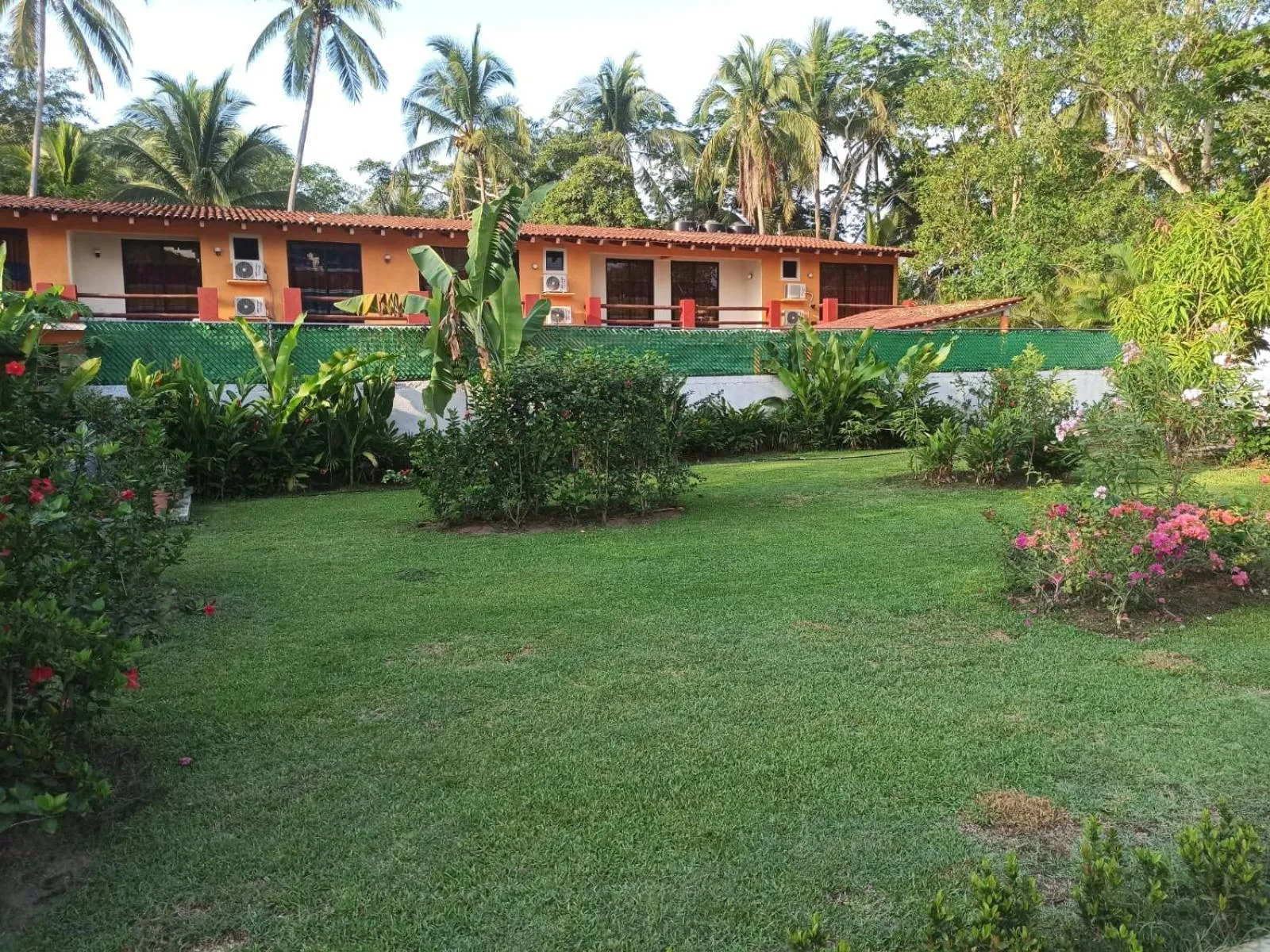 Garden in Hotel J.B.