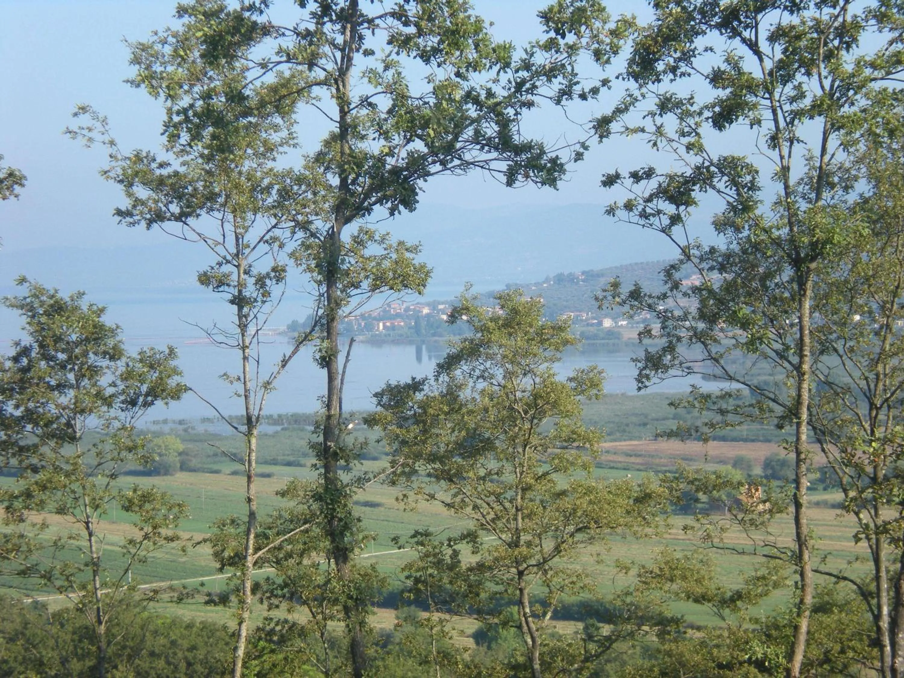 Area and facilities in Azienda Agrituristica I Tre Casali