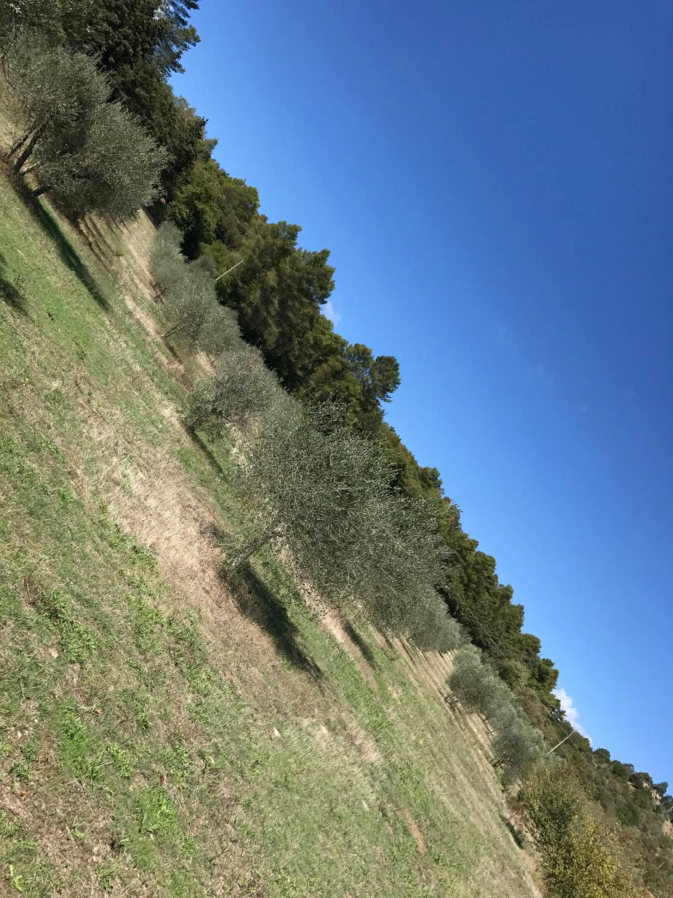 Natural landscape in Azienda Agrituristica I Tre Casali